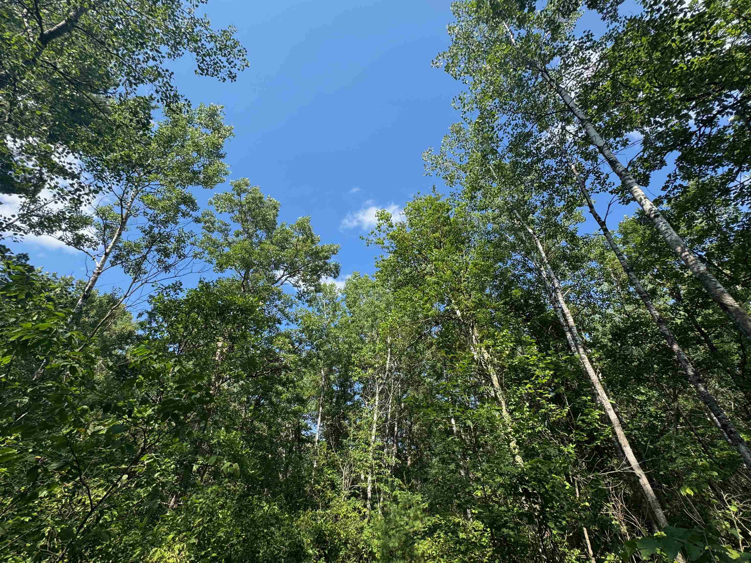 18.8 acres on State Hwy 27 Hayward WI 54843 - Spring 6121522 image54