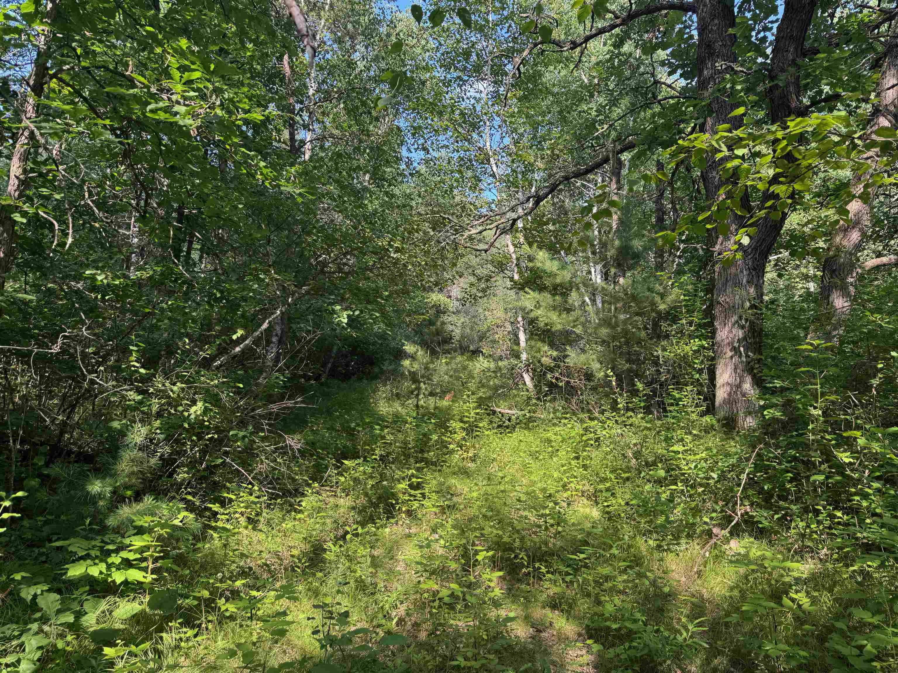 18.8 acres on State Hwy 27 Hayward WI 54843 - Spring 6121522 image55