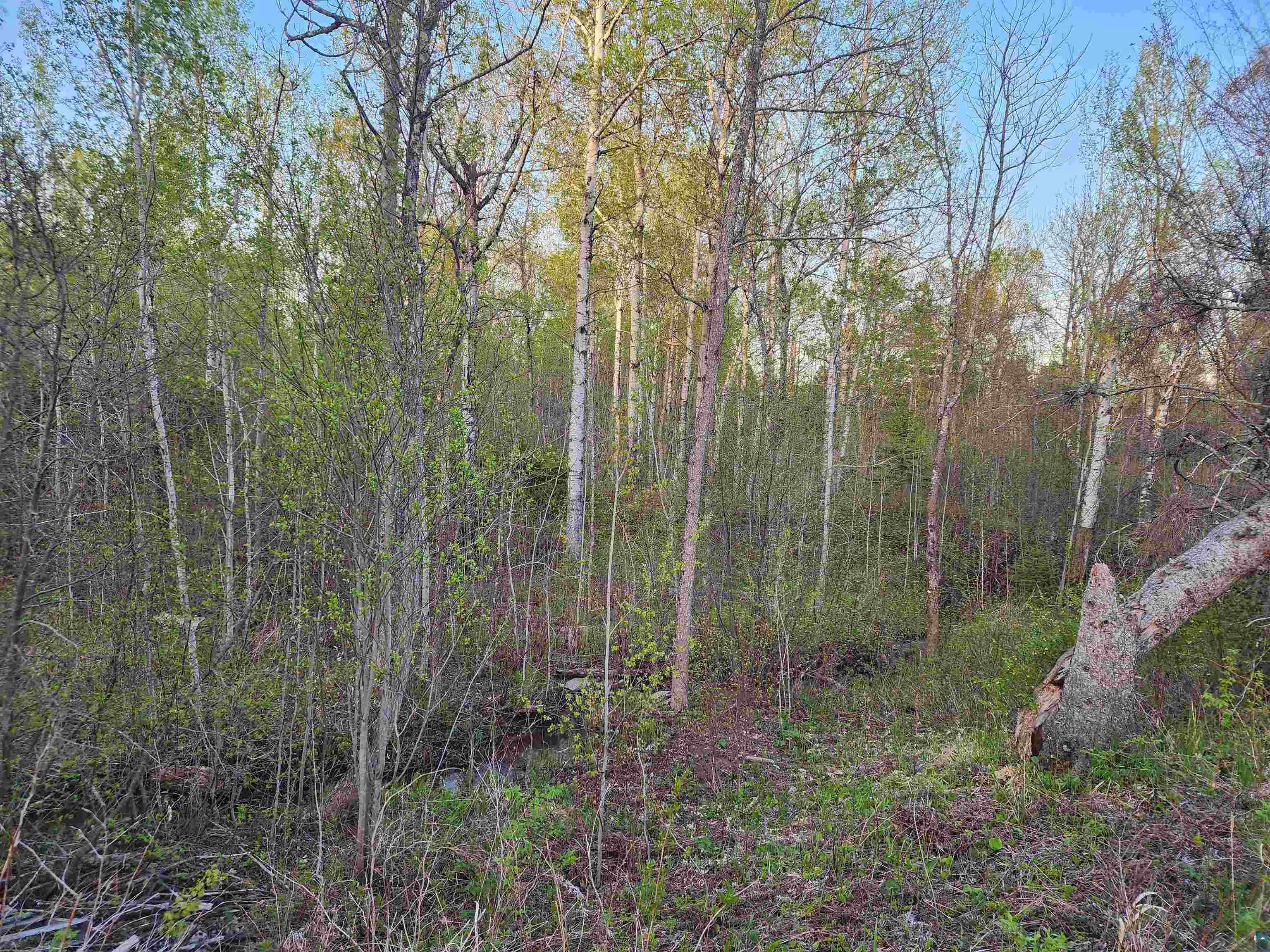 18 Snowshoe Tr Tofte MN 55615 6125563 image15