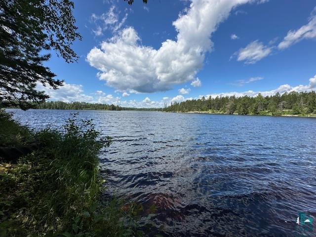 1804 North Bay Rd Ely MN 55731 - Birch 6123963 image21