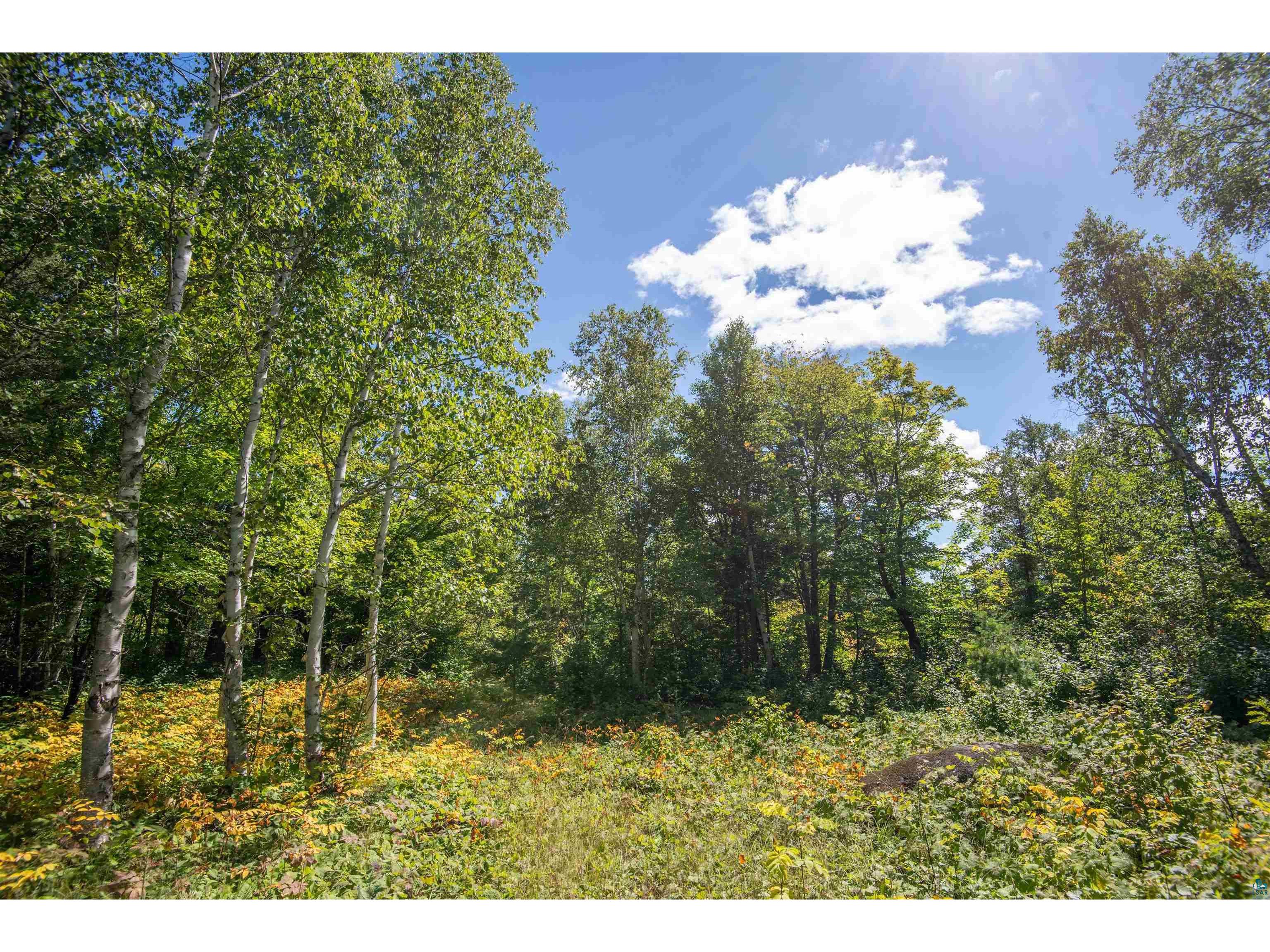 1808 Tom Lake Rd Hovland MN 55606 6125451 image28