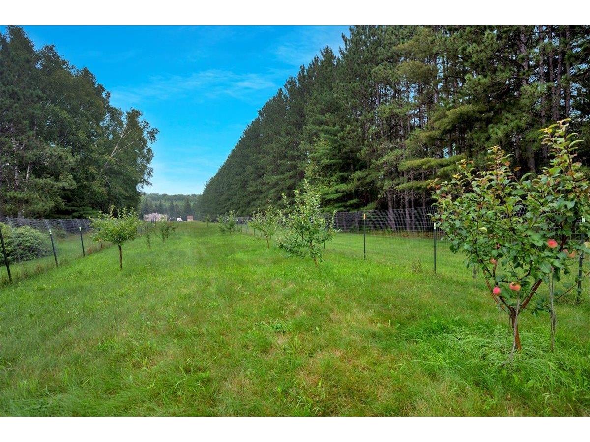 18300 672nd Ln Jacobson MN 55752 - Vanduse 6121349 image36