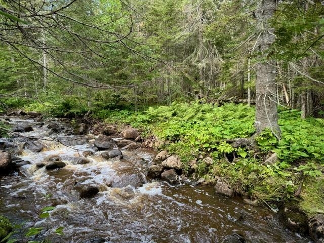 188 Stonegate Rd Hovland MN 55606 - Lake Superior 6121329 image26