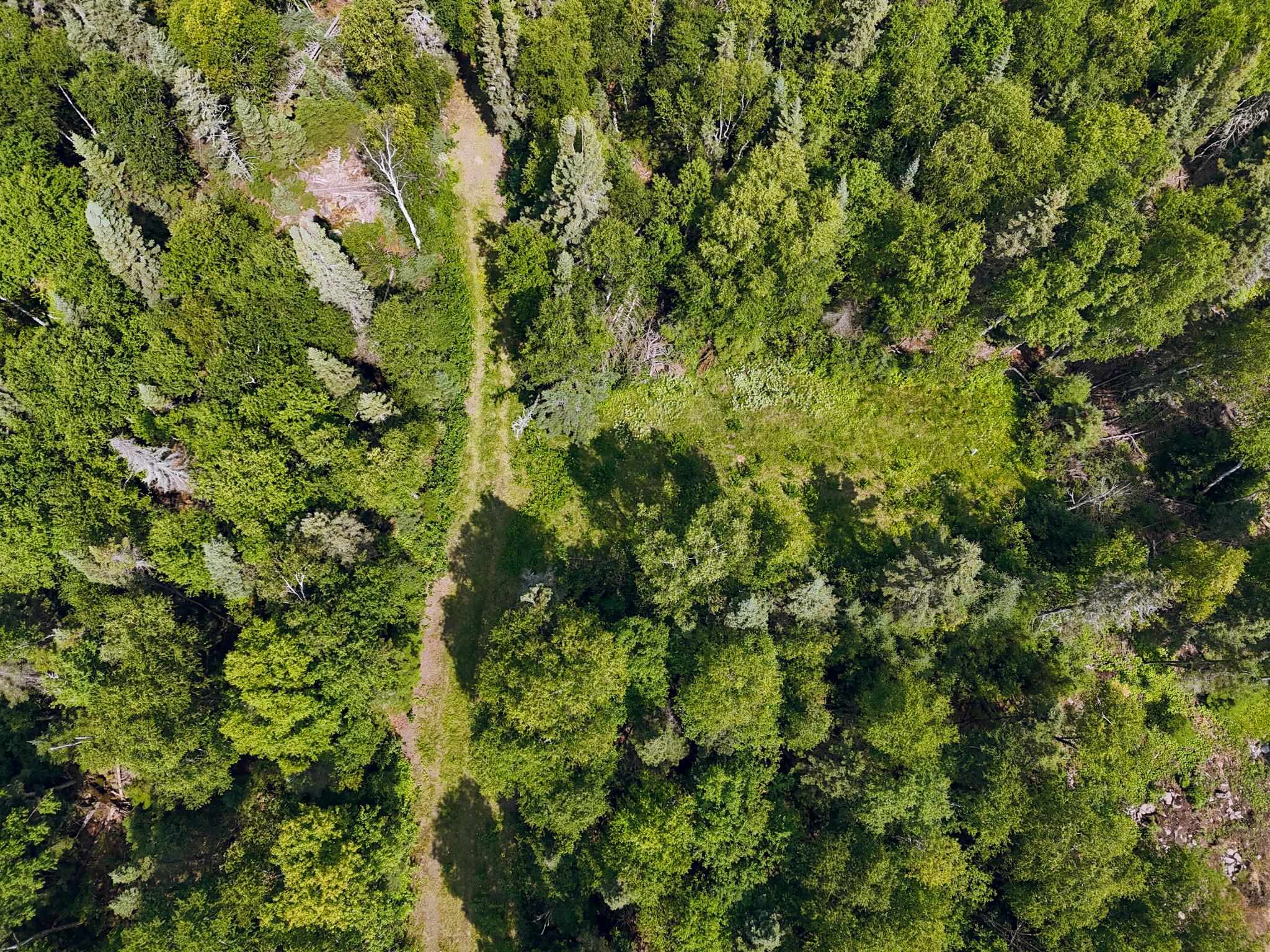 188 Stonegate Rd Hovland MN 55606 - Lake Superior 6121329 image5