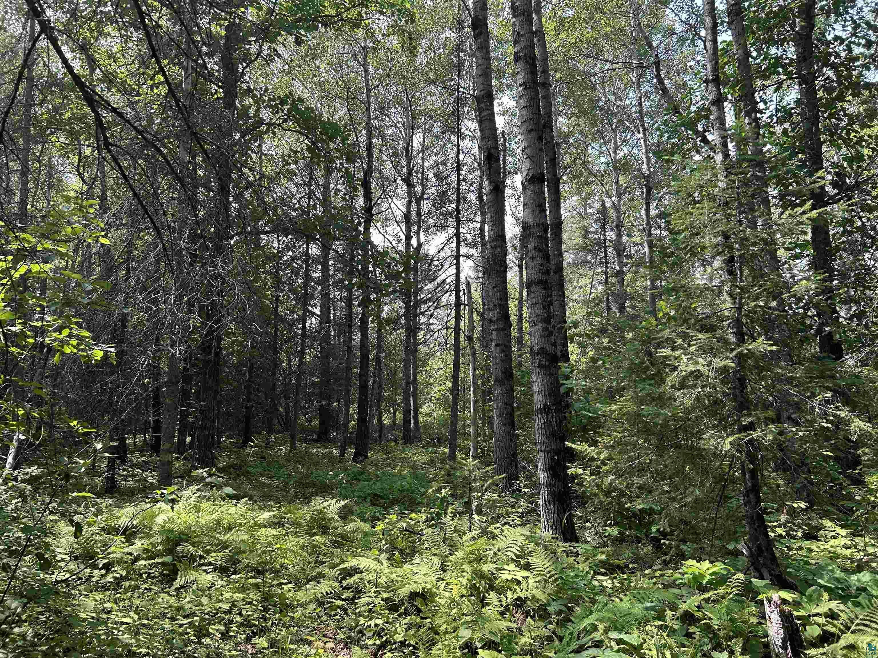 1888 Korkki Rd Duluth MN 55804 6126833 image28