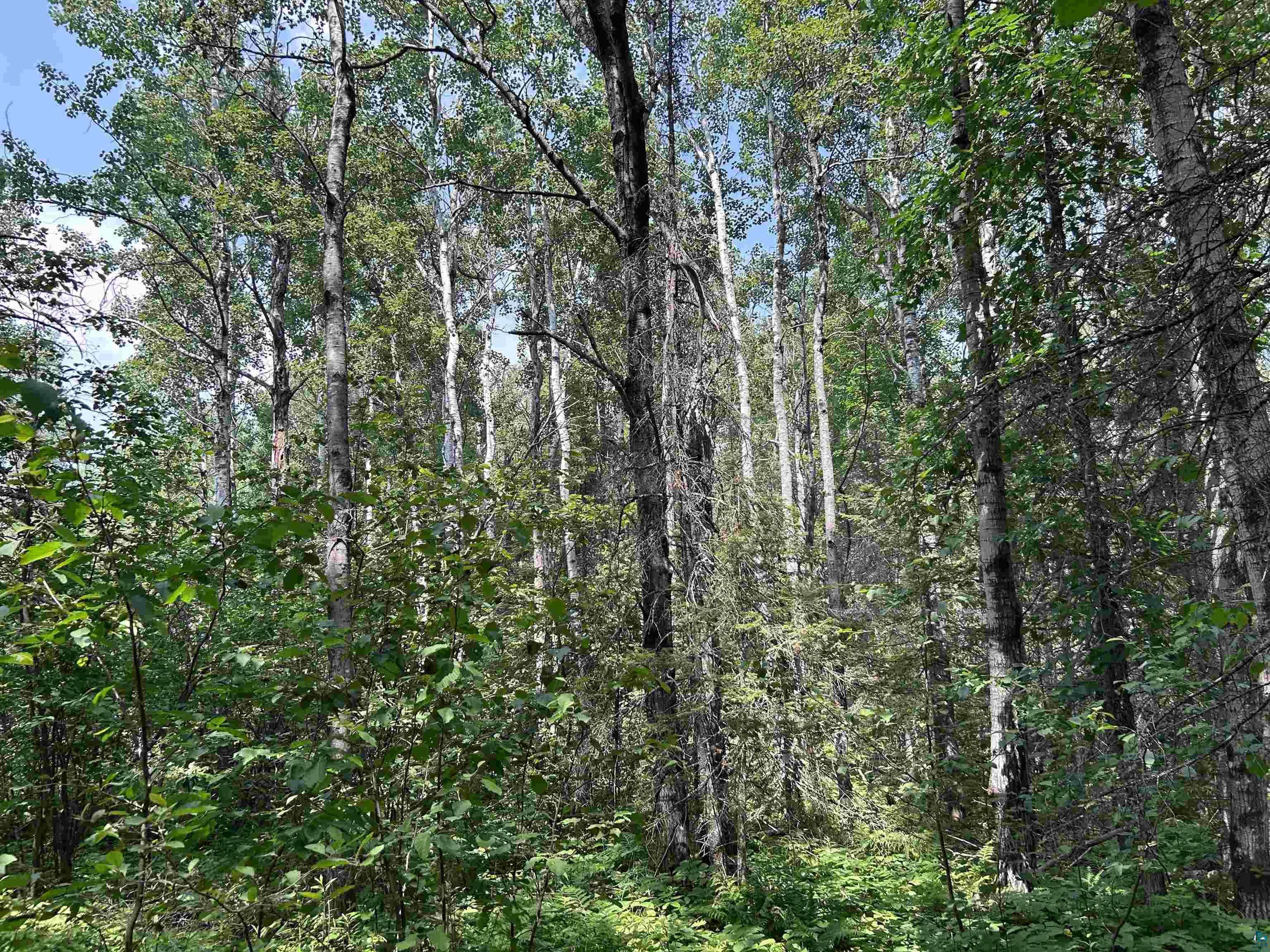 1888 Korkki Rd Duluth MN 55804 6126833 image29