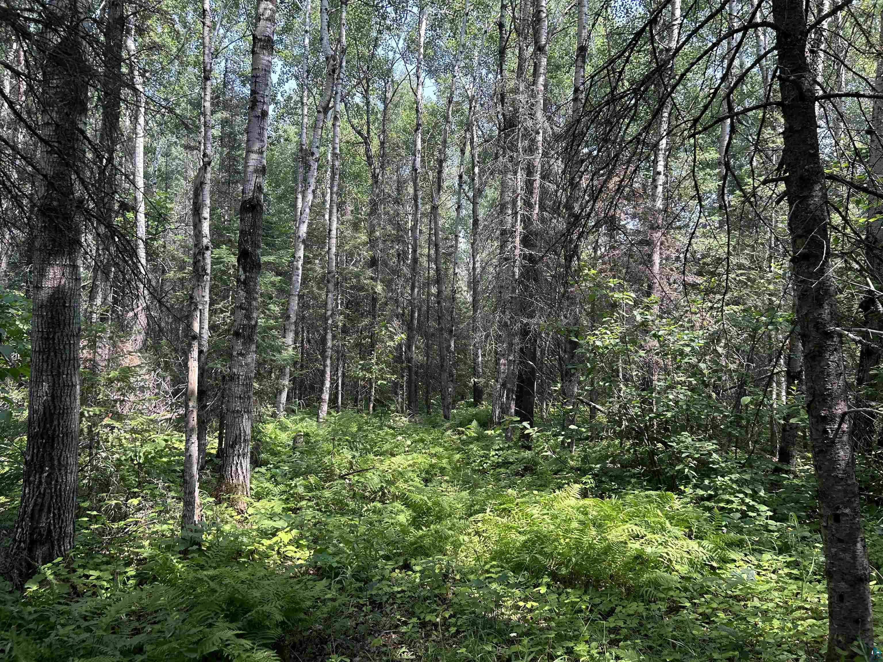 1888 Korkki Rd Duluth MN 55804 6126833 image30