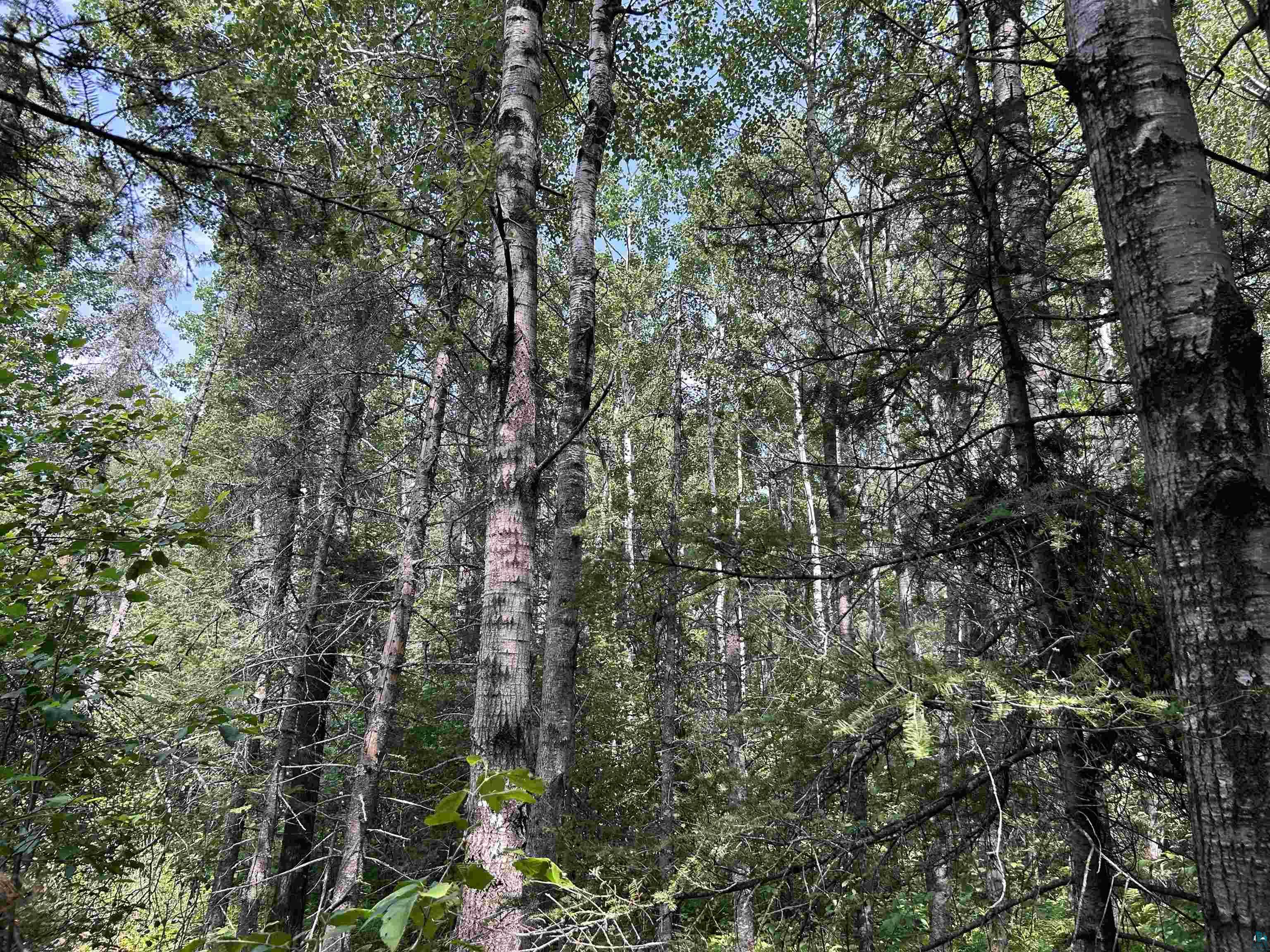 1888 Korkki Rd Duluth MN 55804 6126833 image31