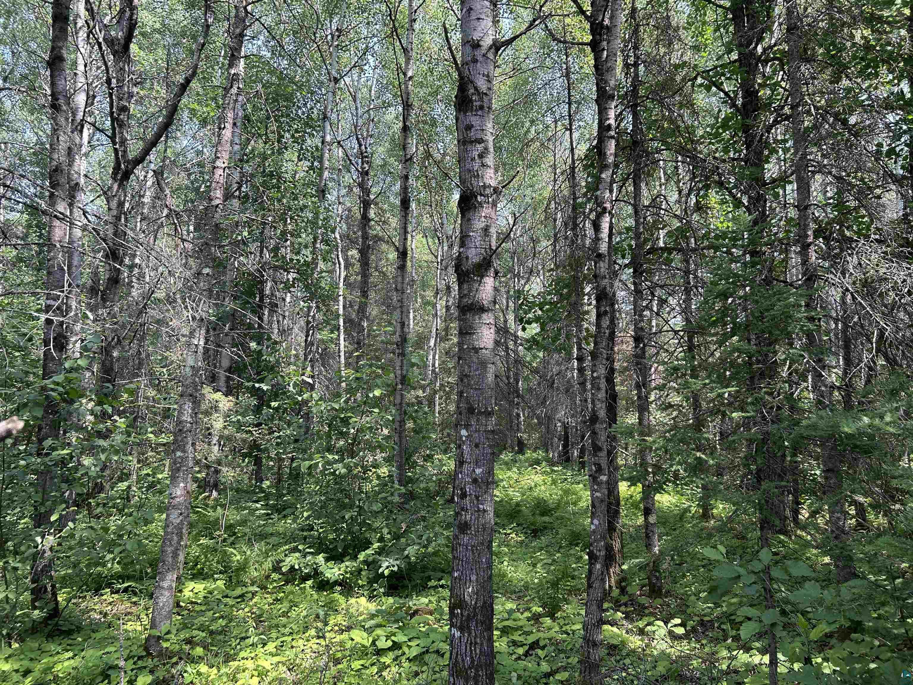 1888 Korkki Rd Duluth MN 55804 6126833 image32