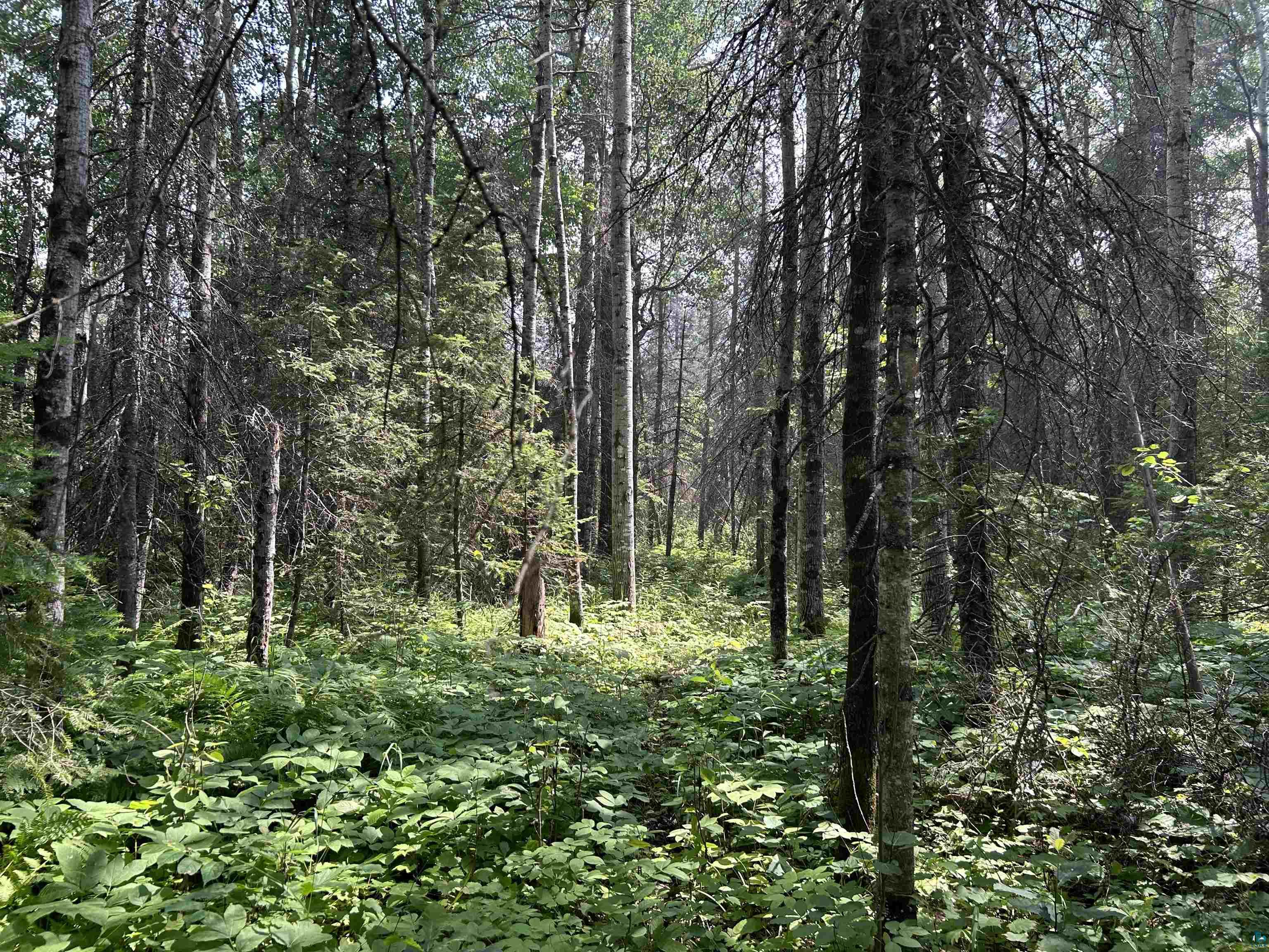 1888 Korkki Rd Duluth MN 55804 6126833 image33