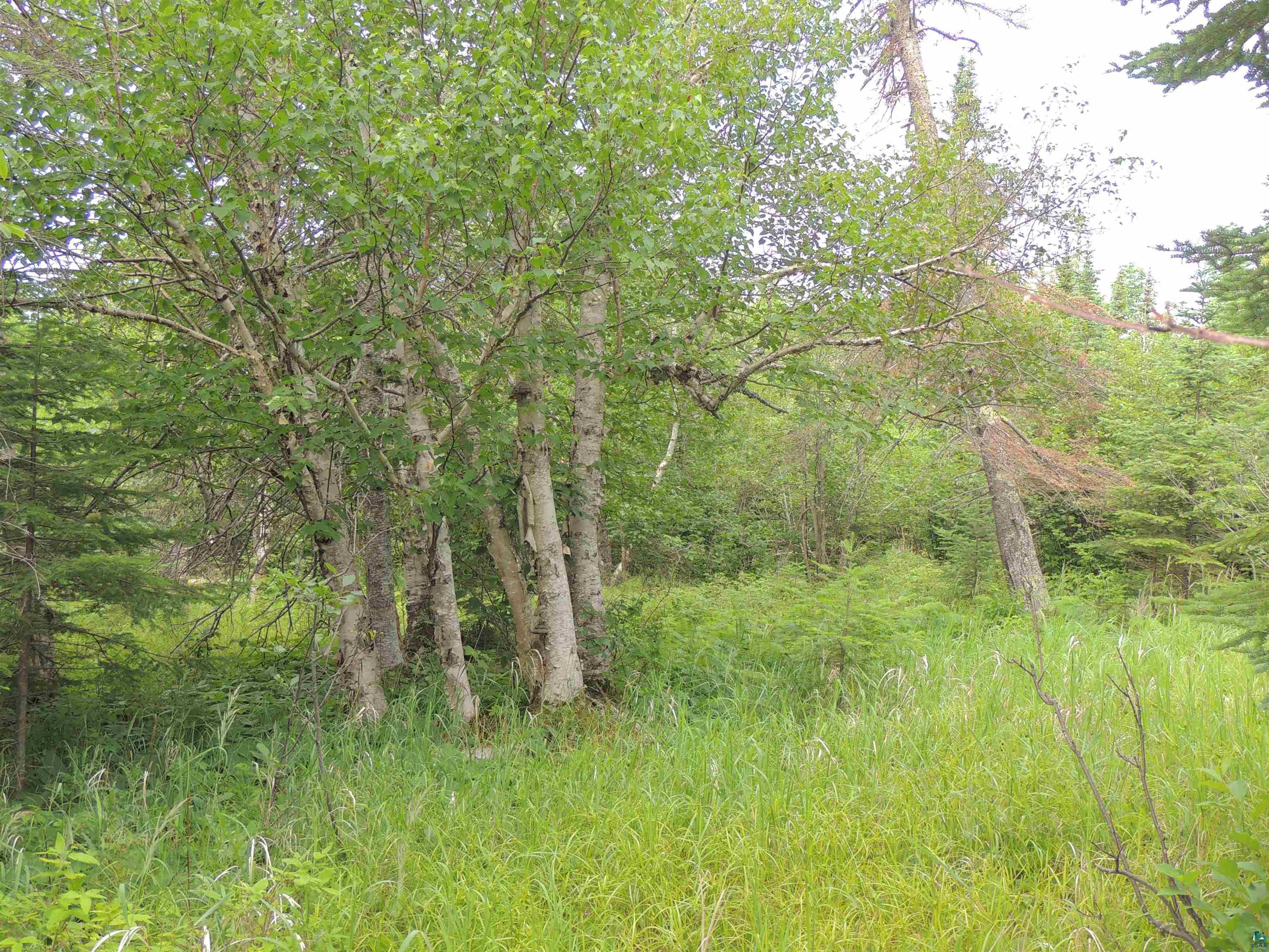 189 Arrowhead Tr Hovland MN 55606 6112361 image1