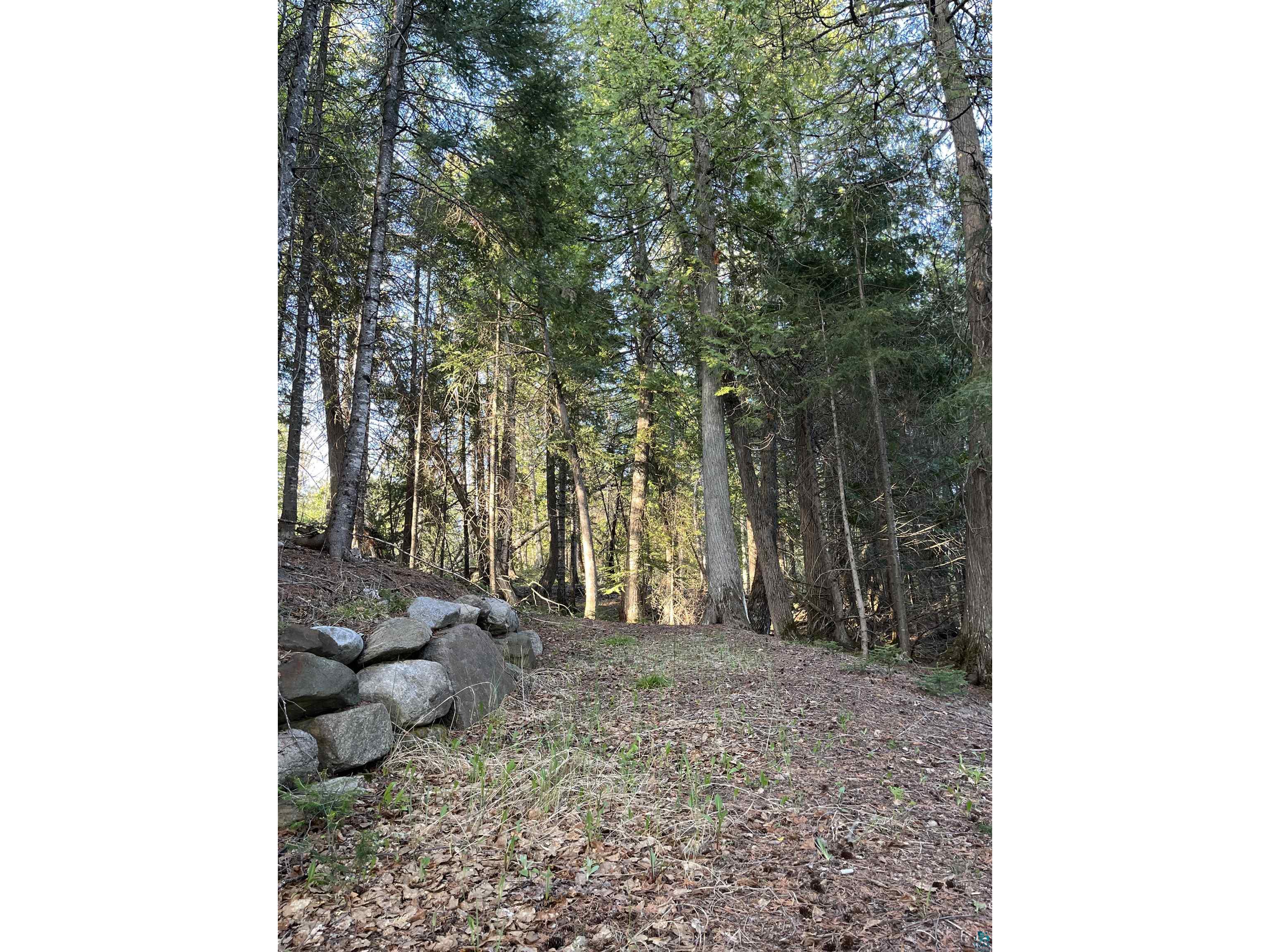 190 N Loon Lake Rd Grand Marais MN 55604 - Loon 6126257 image42