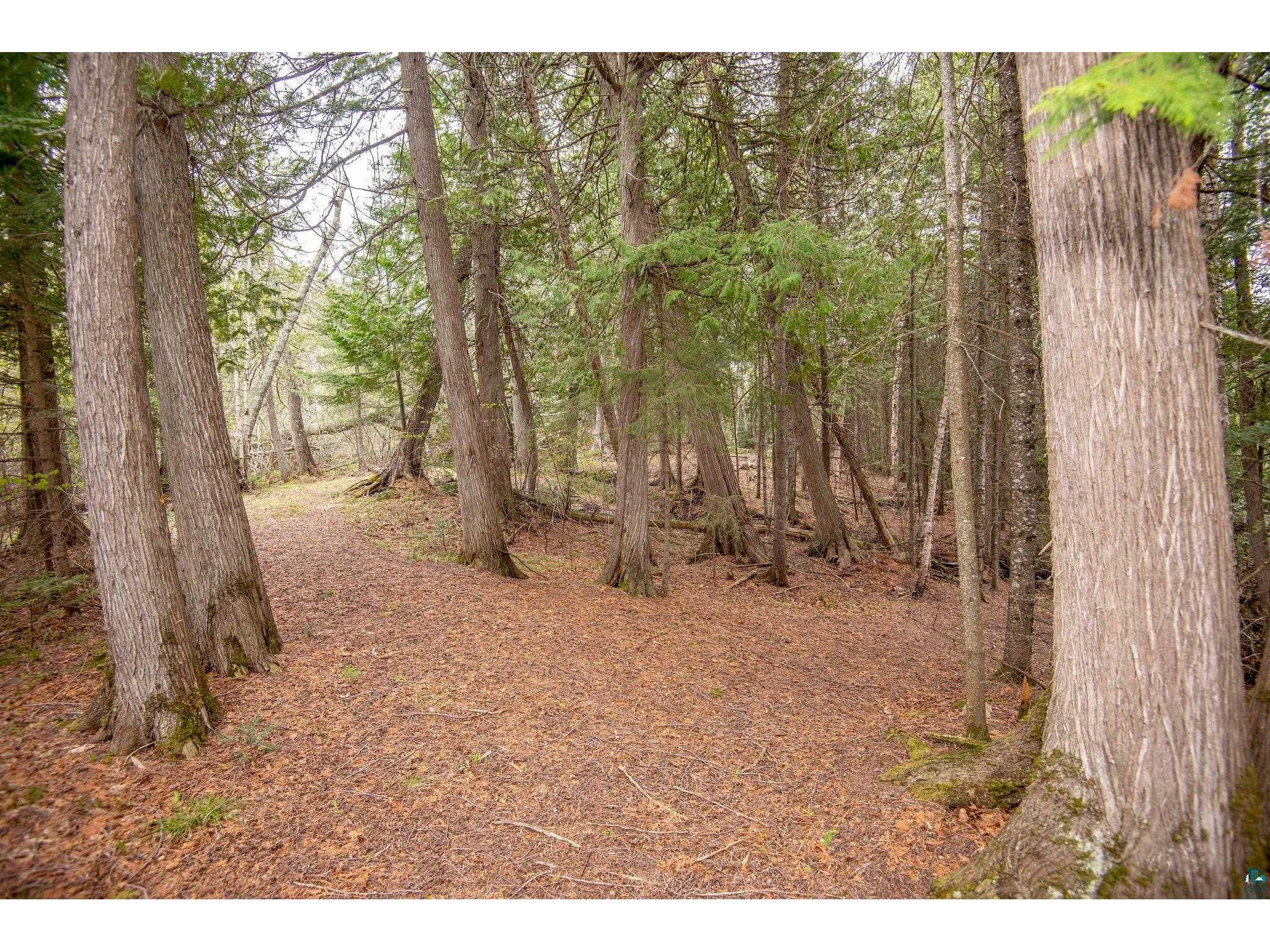 190 N Loon Lake Rd Grand Marais MN 55604 - Loon 6126257 image43