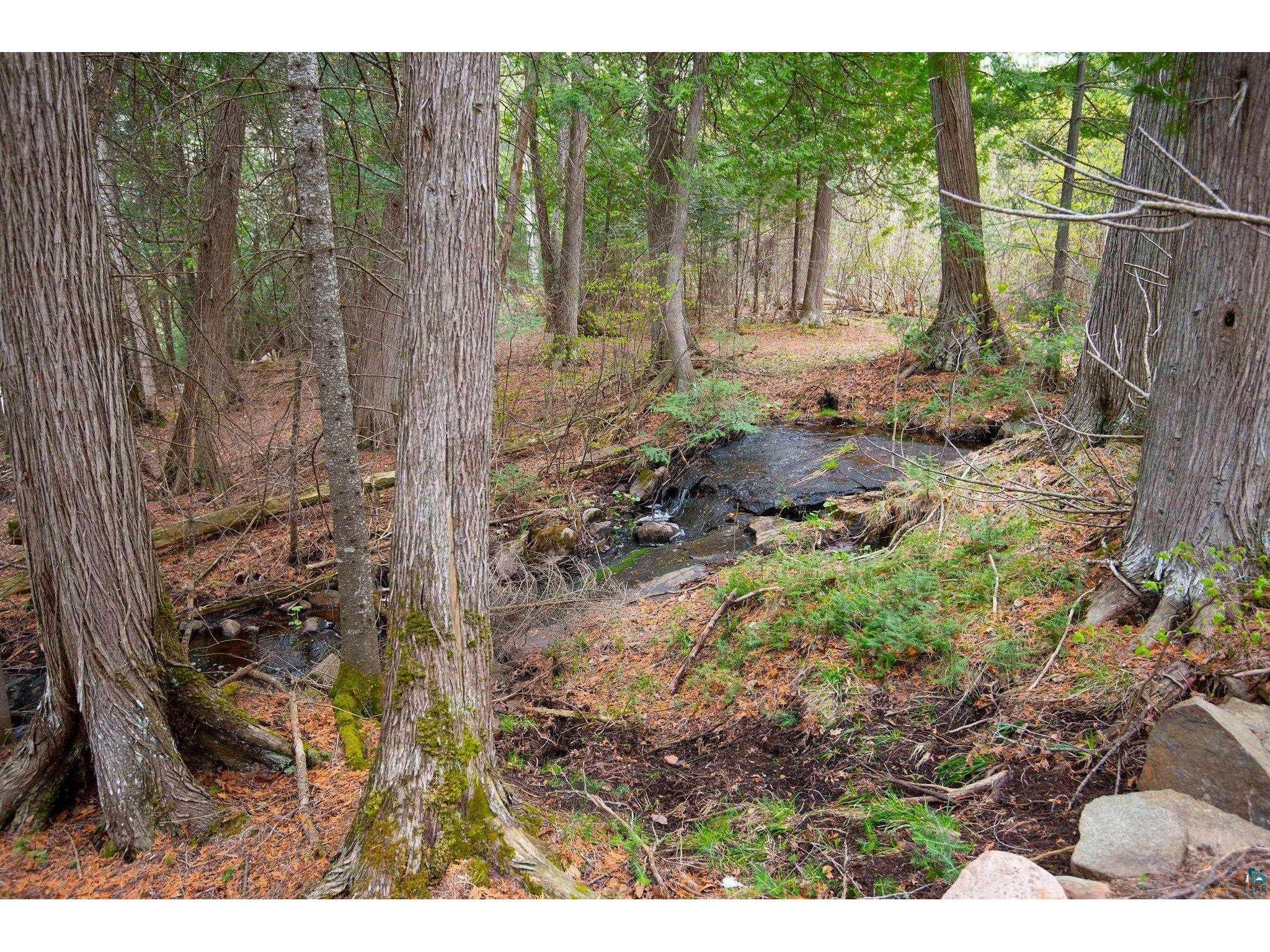 190 N Loon Lake Rd Grand Marais MN 55604 - Loon 6126257 image44