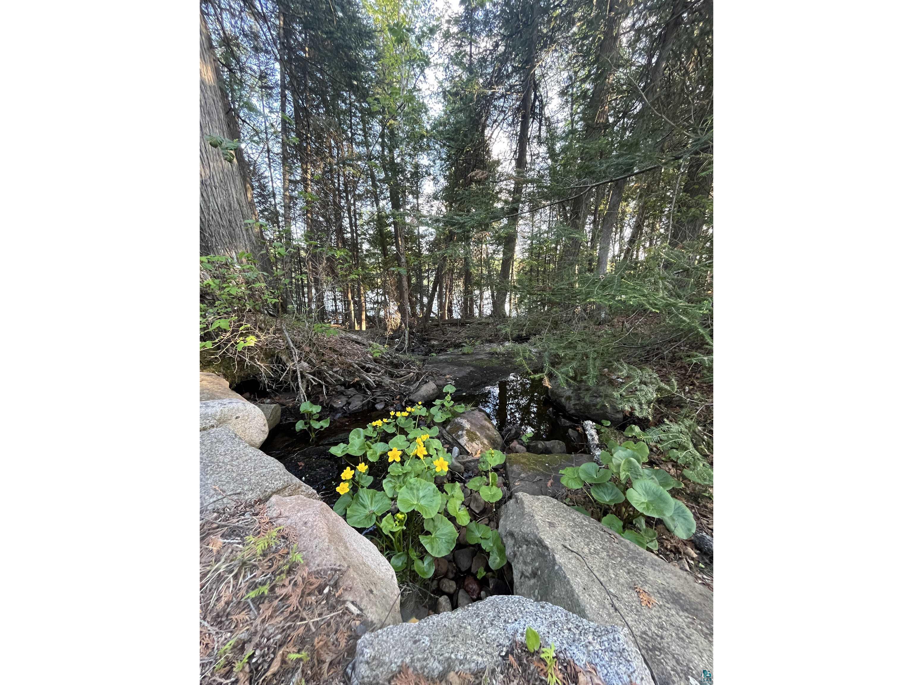 190 N Loon Lake Rd Grand Marais MN 55604 - Loon 6126257 image45