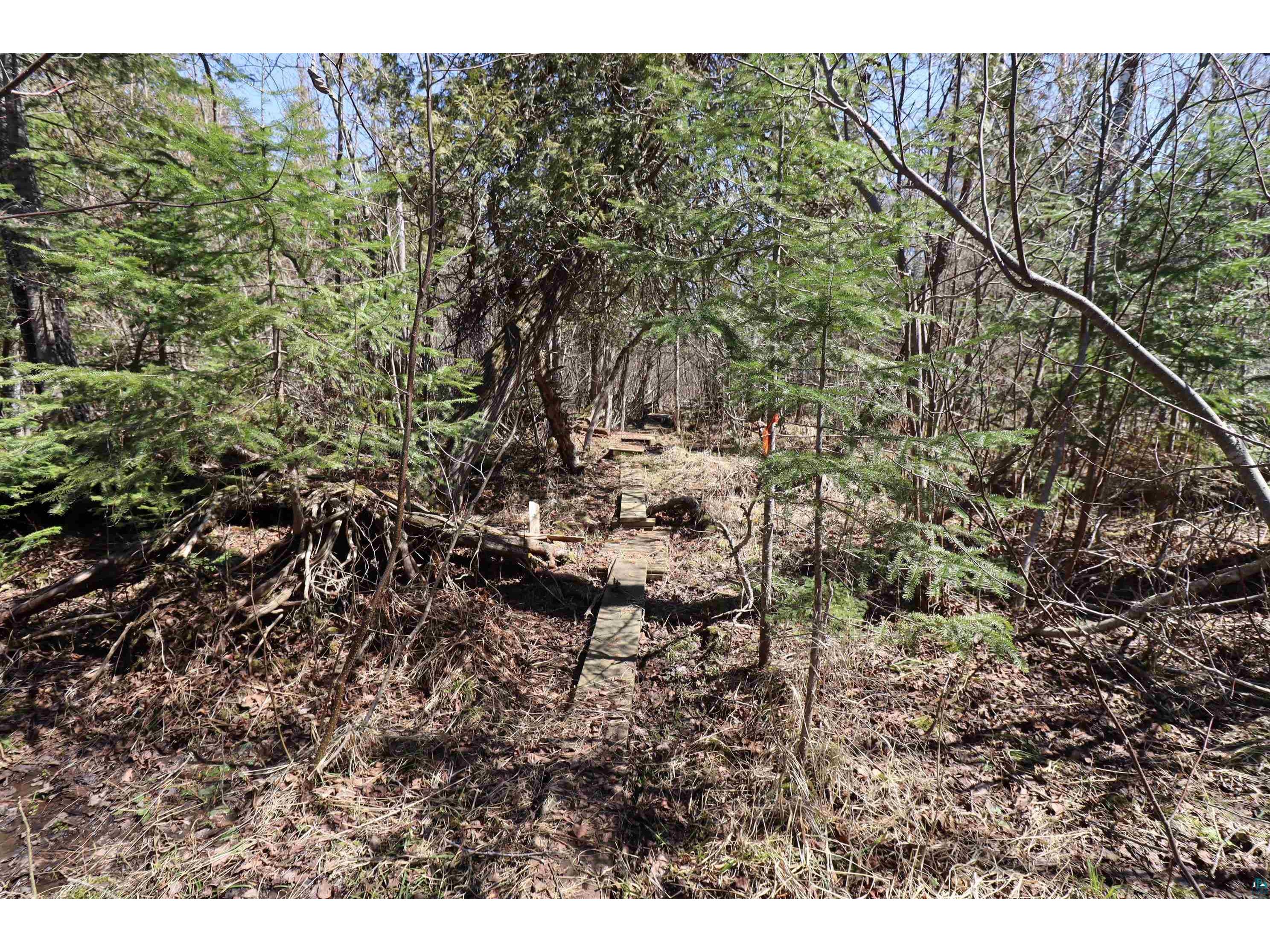19010 State Highway 13 Herbster WI 54844 - Lake Superior 6124722 image30