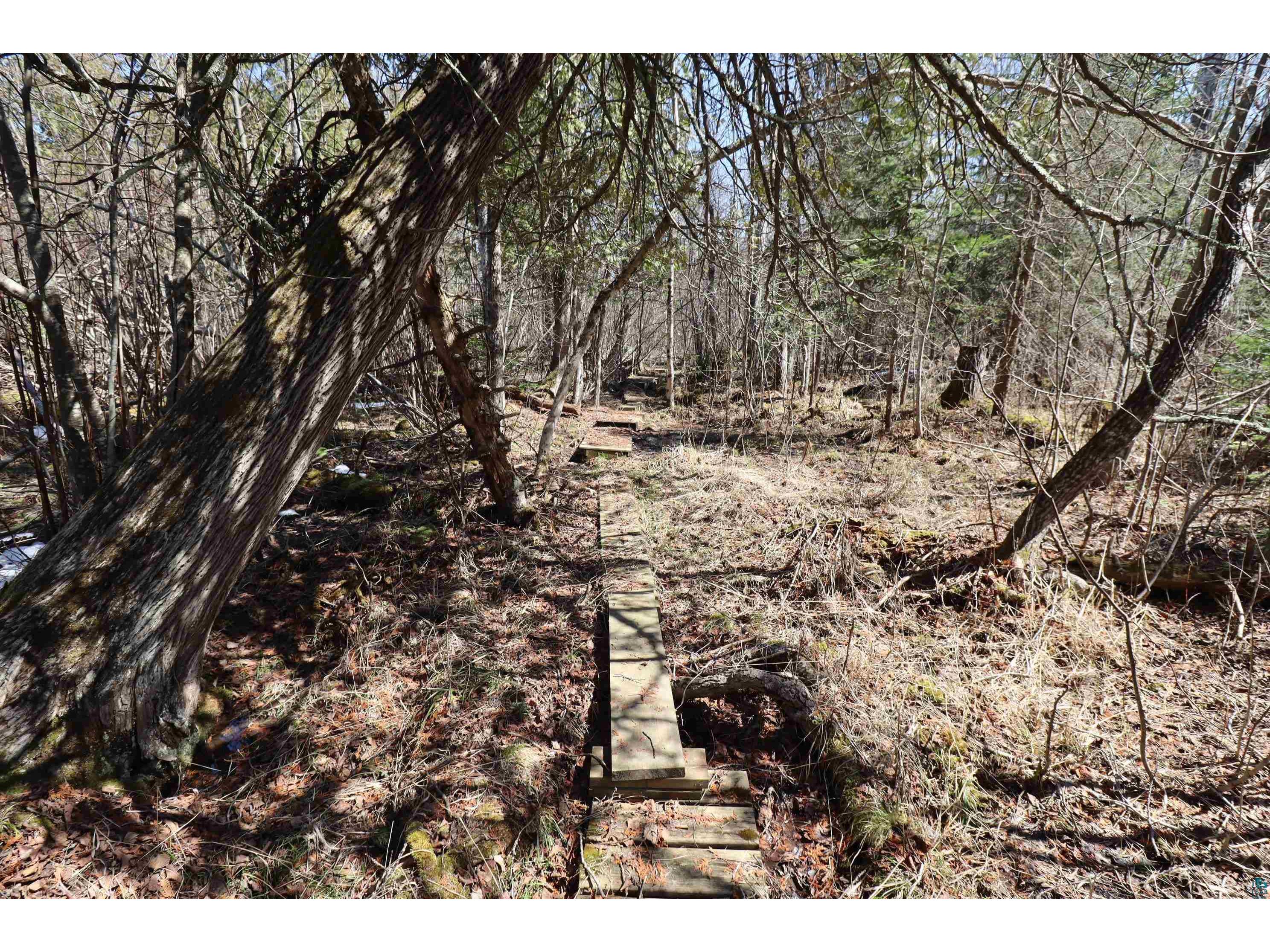 19010 State Highway 13 Herbster WI 54844 - Lake Superior 6124722 image31