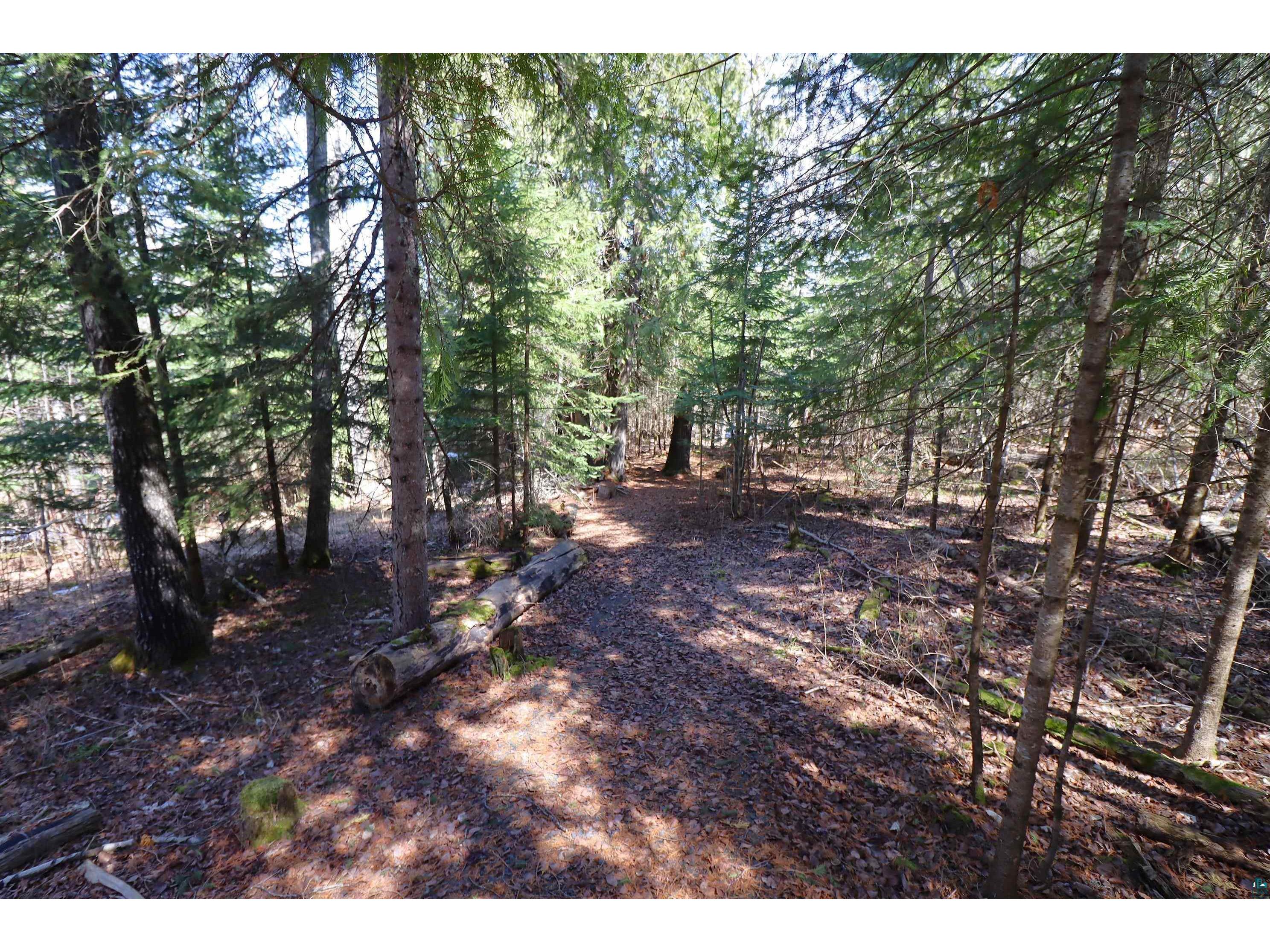 19010 State Highway 13 Herbster WI 54844 - Lake Superior 6124722 image37