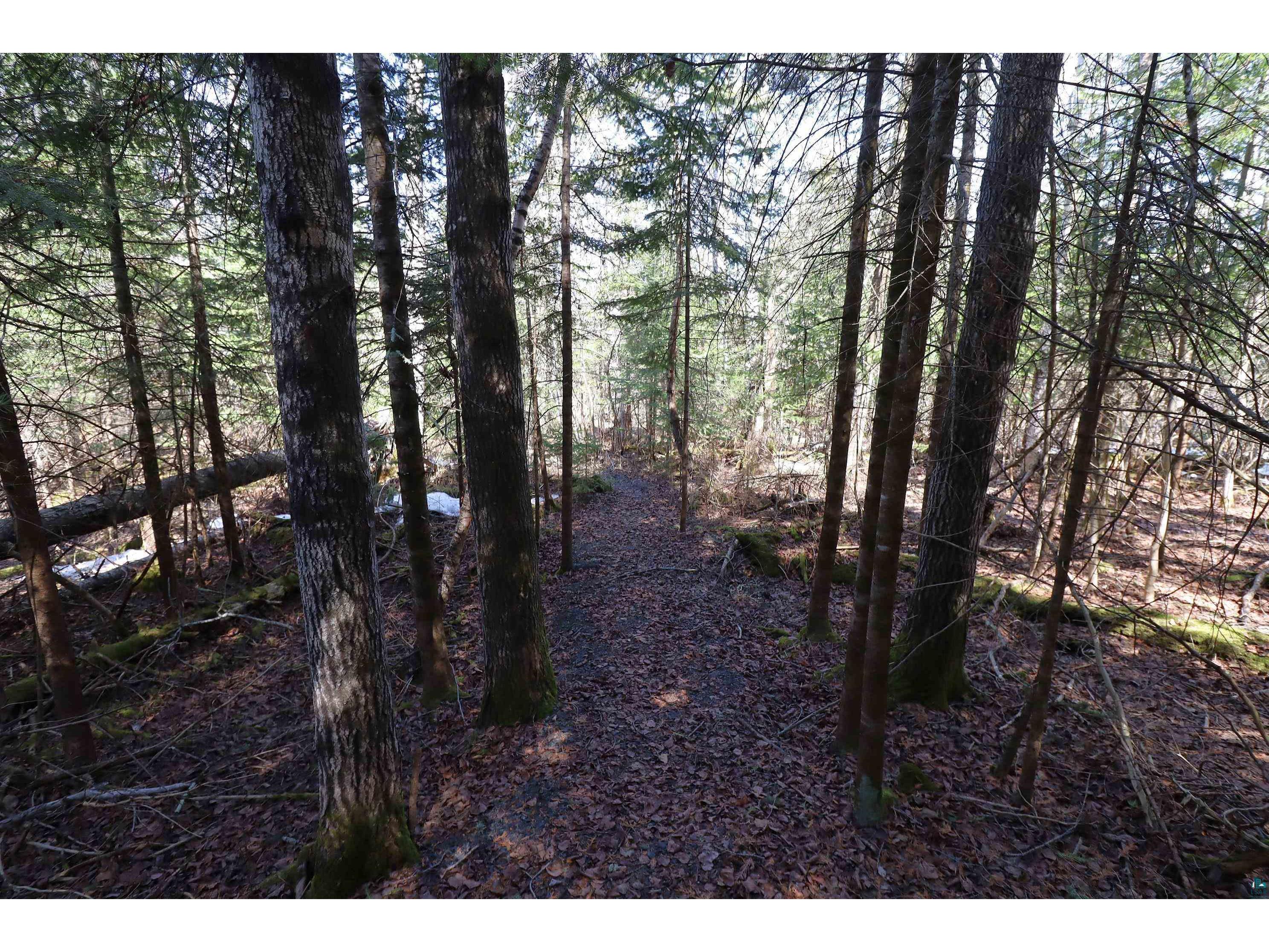 19010 State Highway 13 Herbster WI 54844 - Lake Superior 6124722 image38