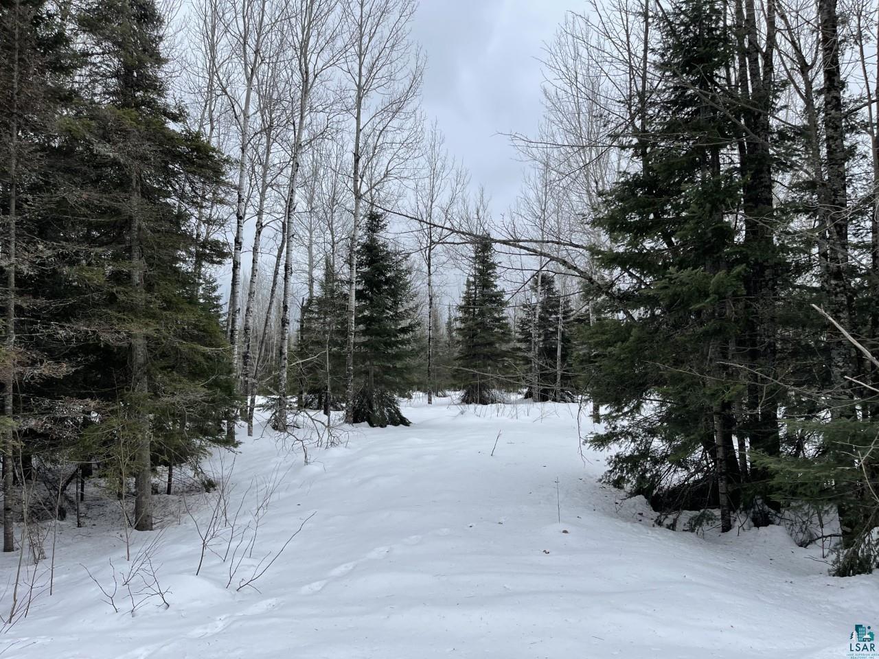 1902 Dogwood Road Two Harbors MN 55616 6106934 image1