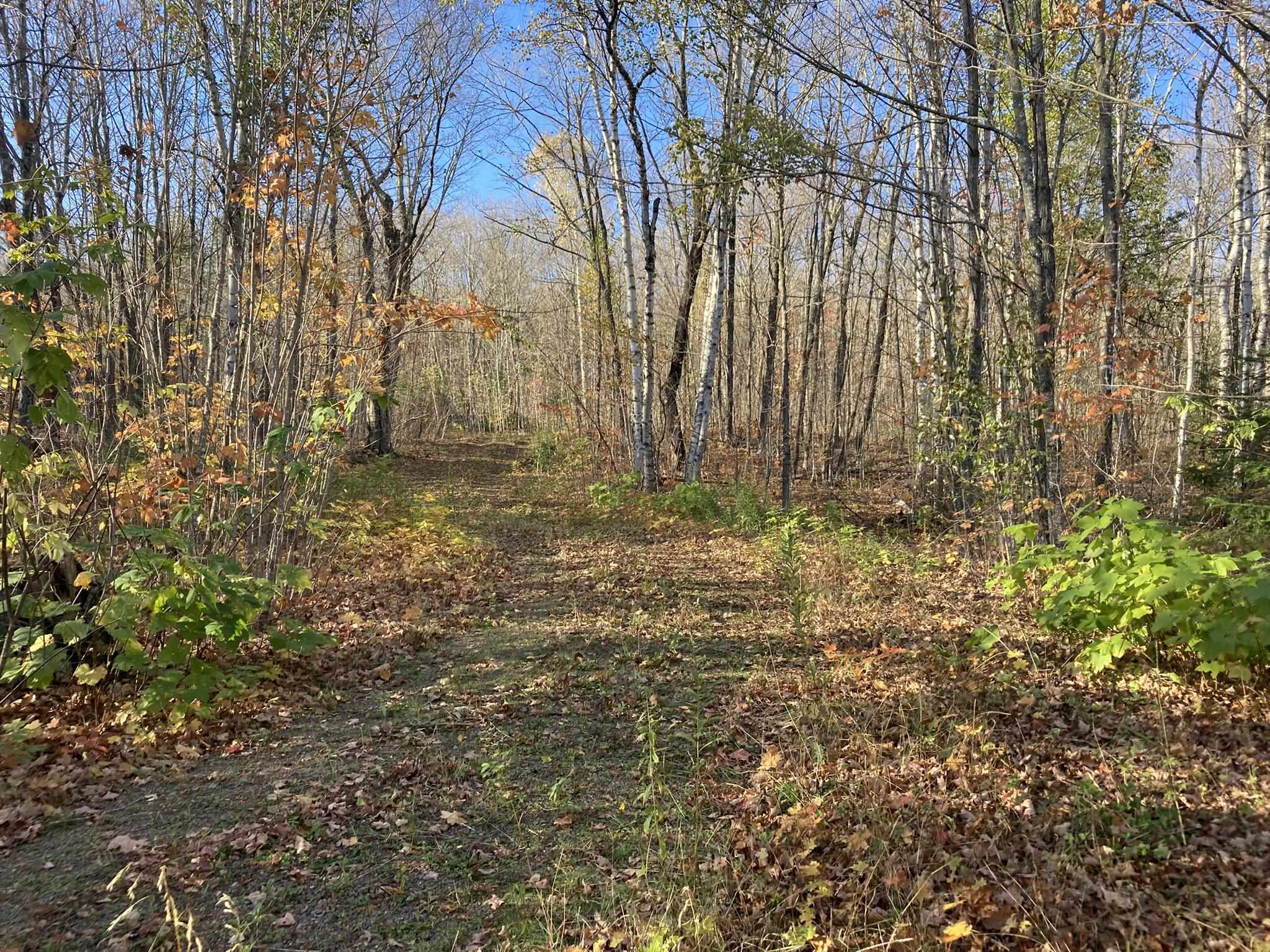 192 W Deeryard Lake Rd Lutsen MN 55612 - Deeryard 6123425 image60