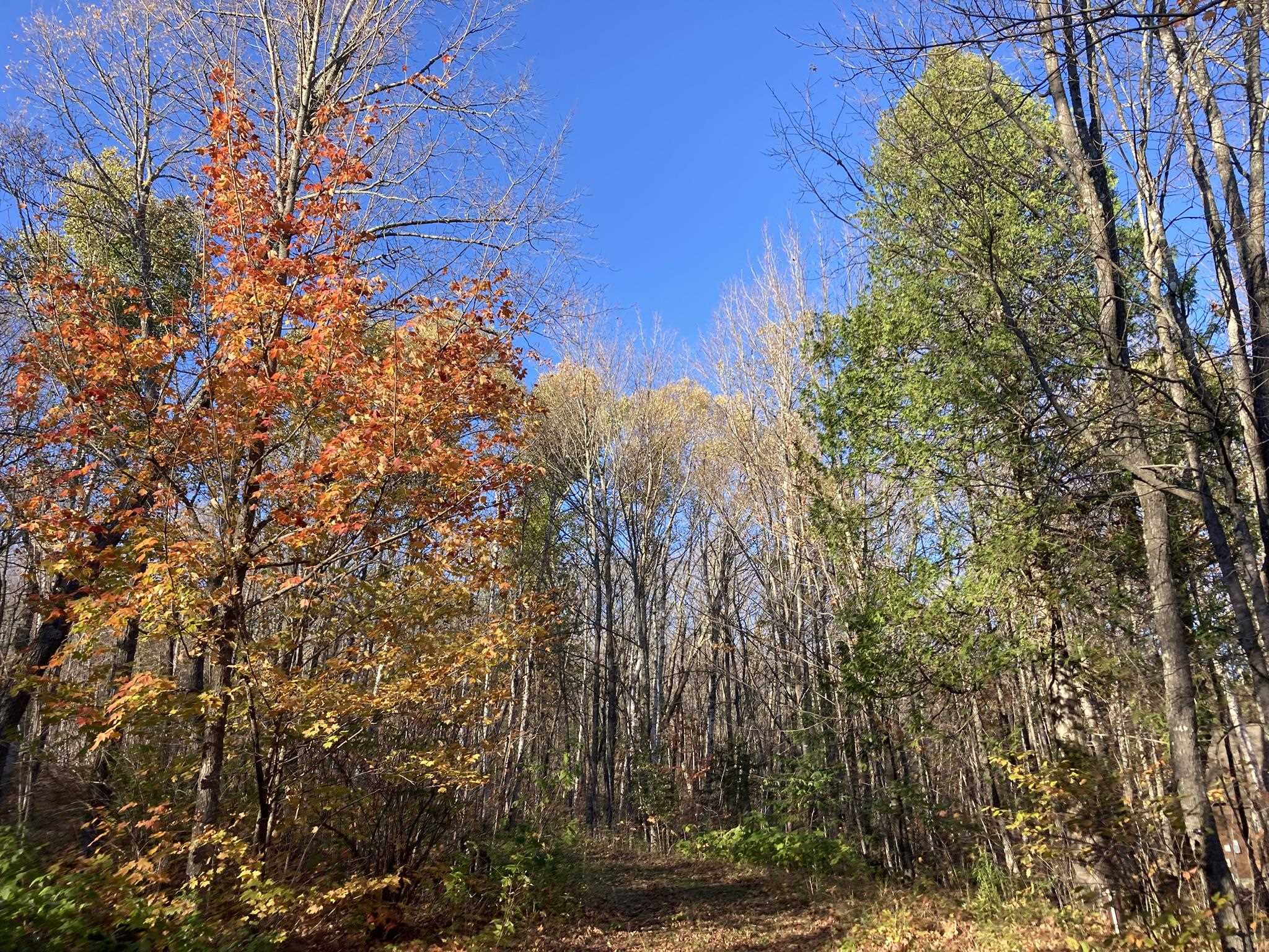 192 W Deeryard Lake Rd Lutsen MN 55612 - Deeryard 6123425 image61