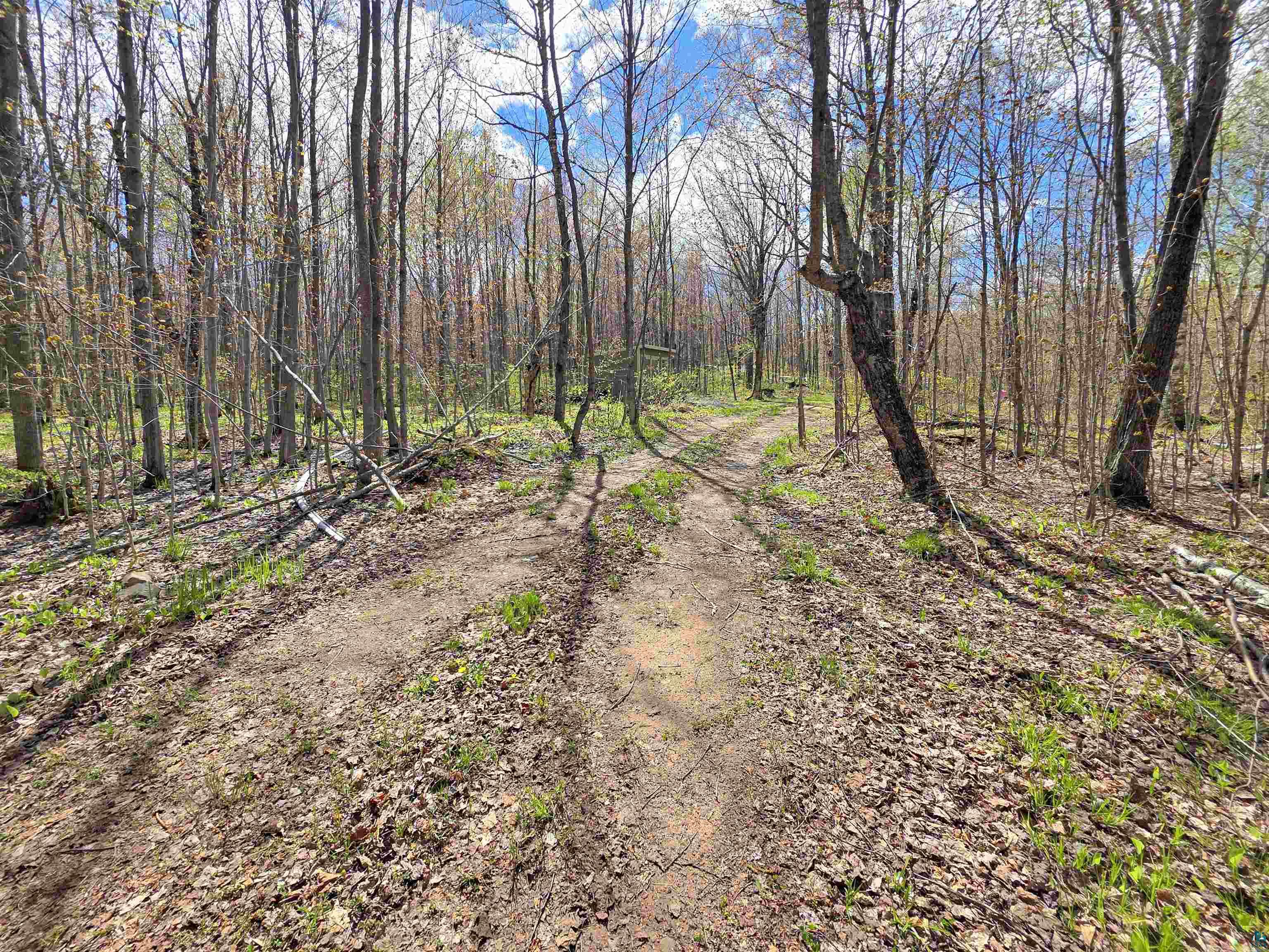 1989 North Shore Rd Lapointe WI 54850 6125485 image10