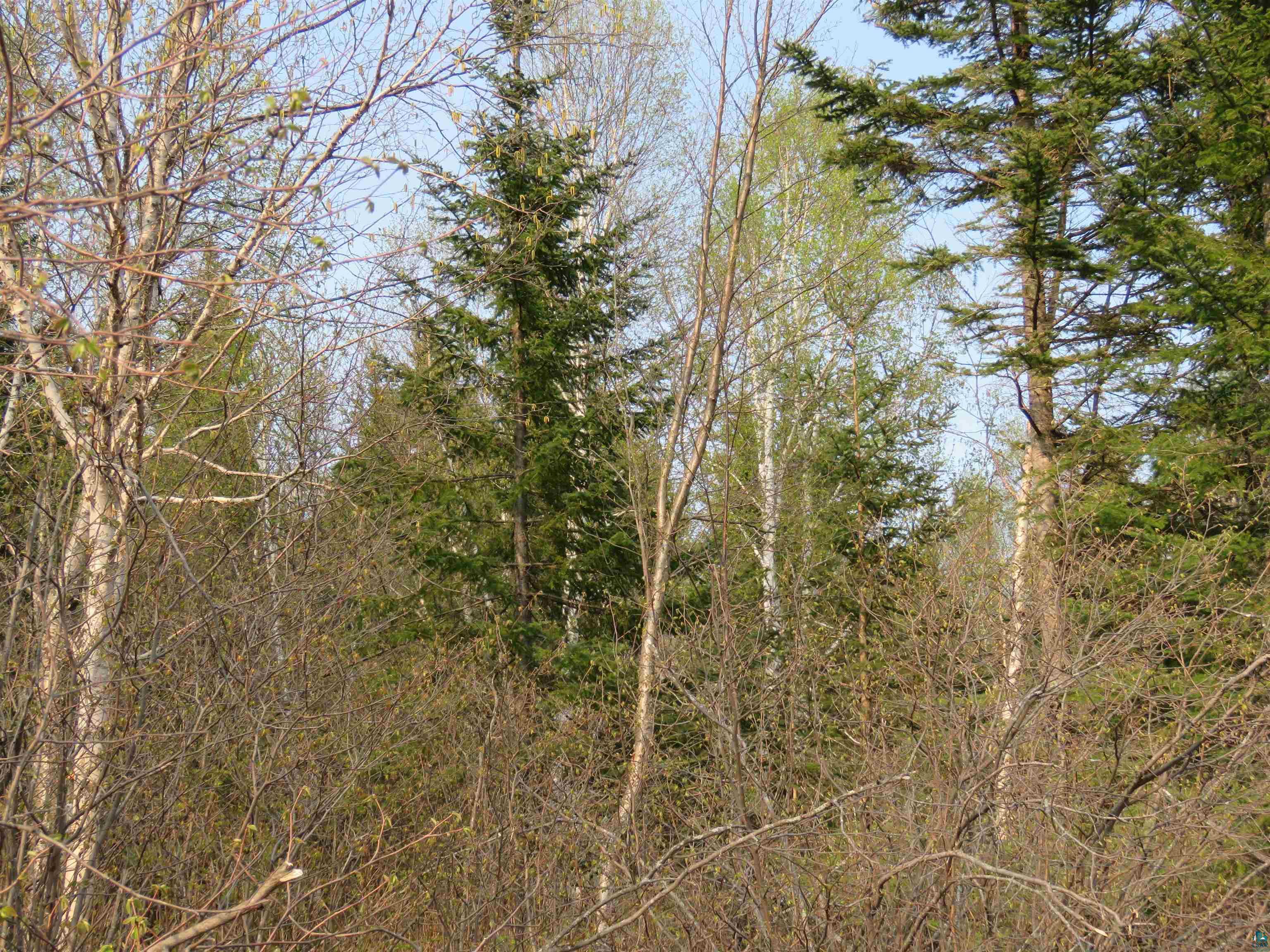 1Bxx Turnagain Tr Lutsen MN 55612 6107596 image1