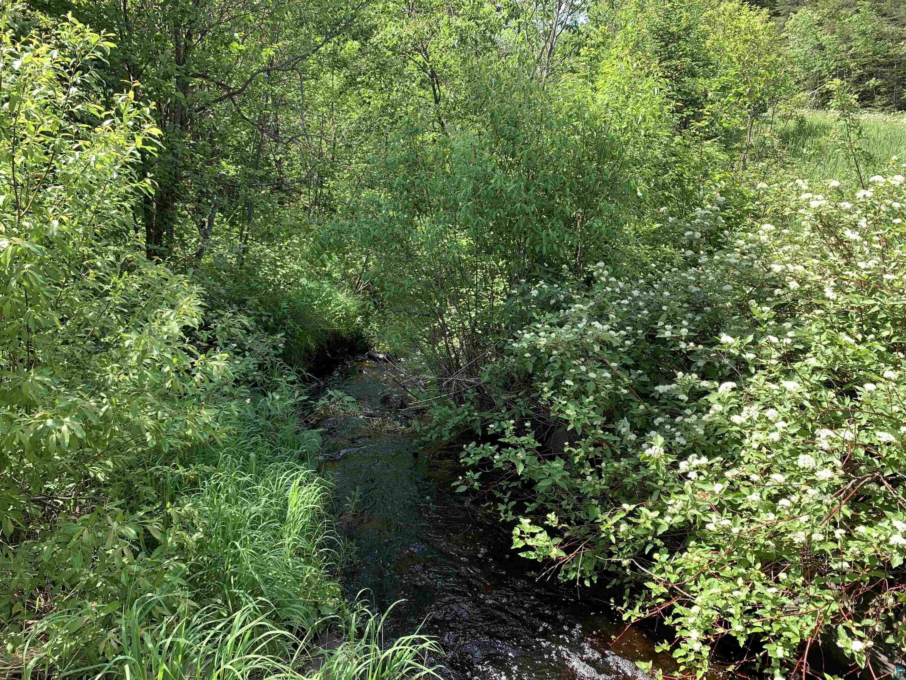 1X Brandon Ln Grand Marais MN 55604 - Fall 6095813 image1