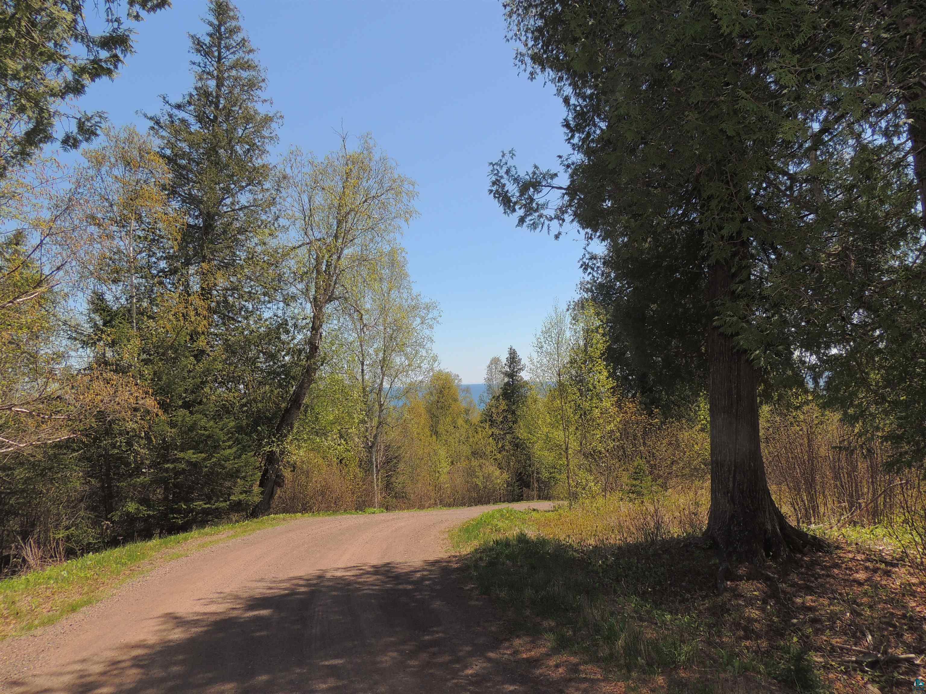 1X Mountain Ash Ln Lutsen MN 55612 6126303 image10