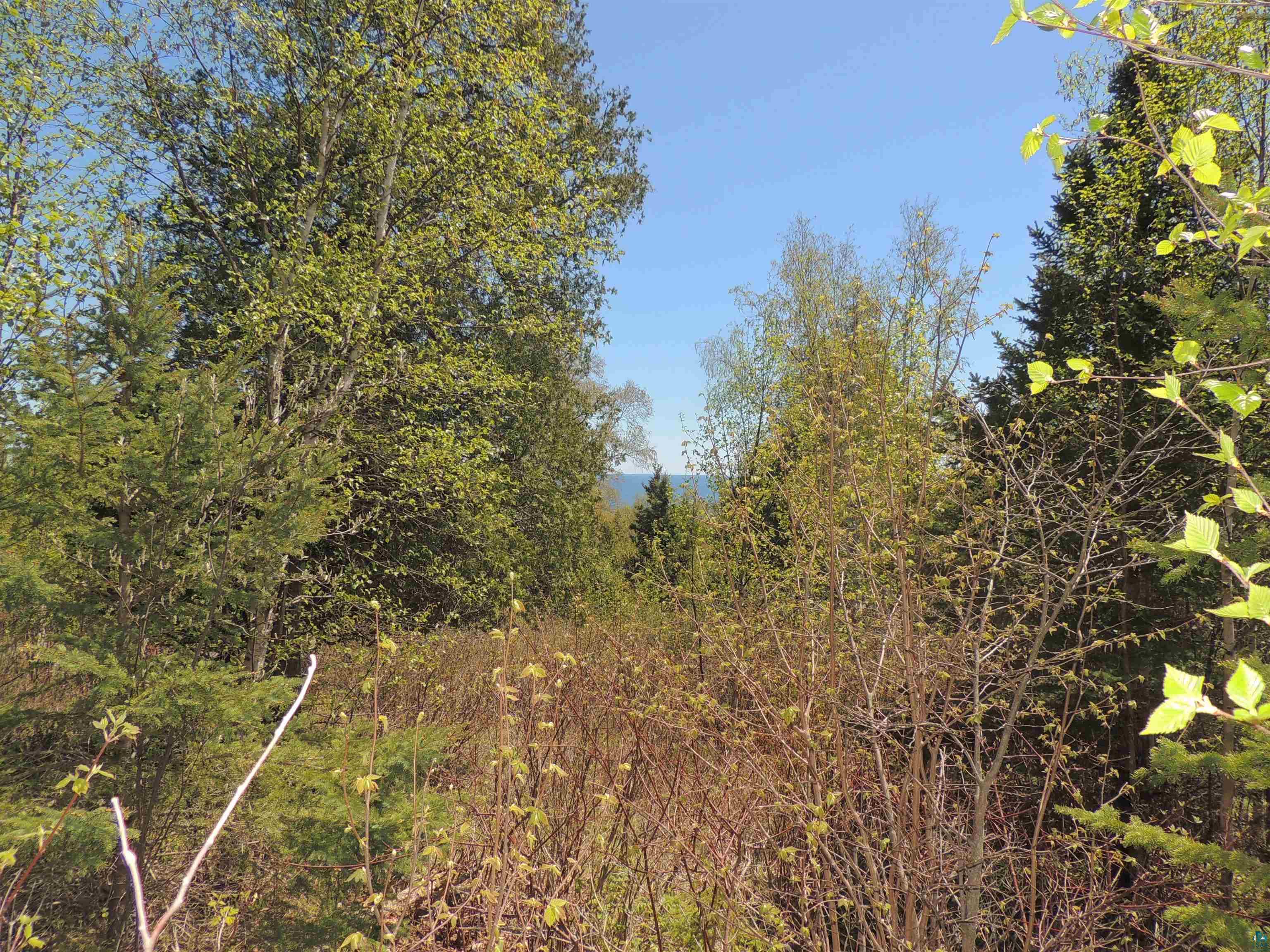 1X Mountain Ash Ln Lutsen MN 55612 6126303 image16