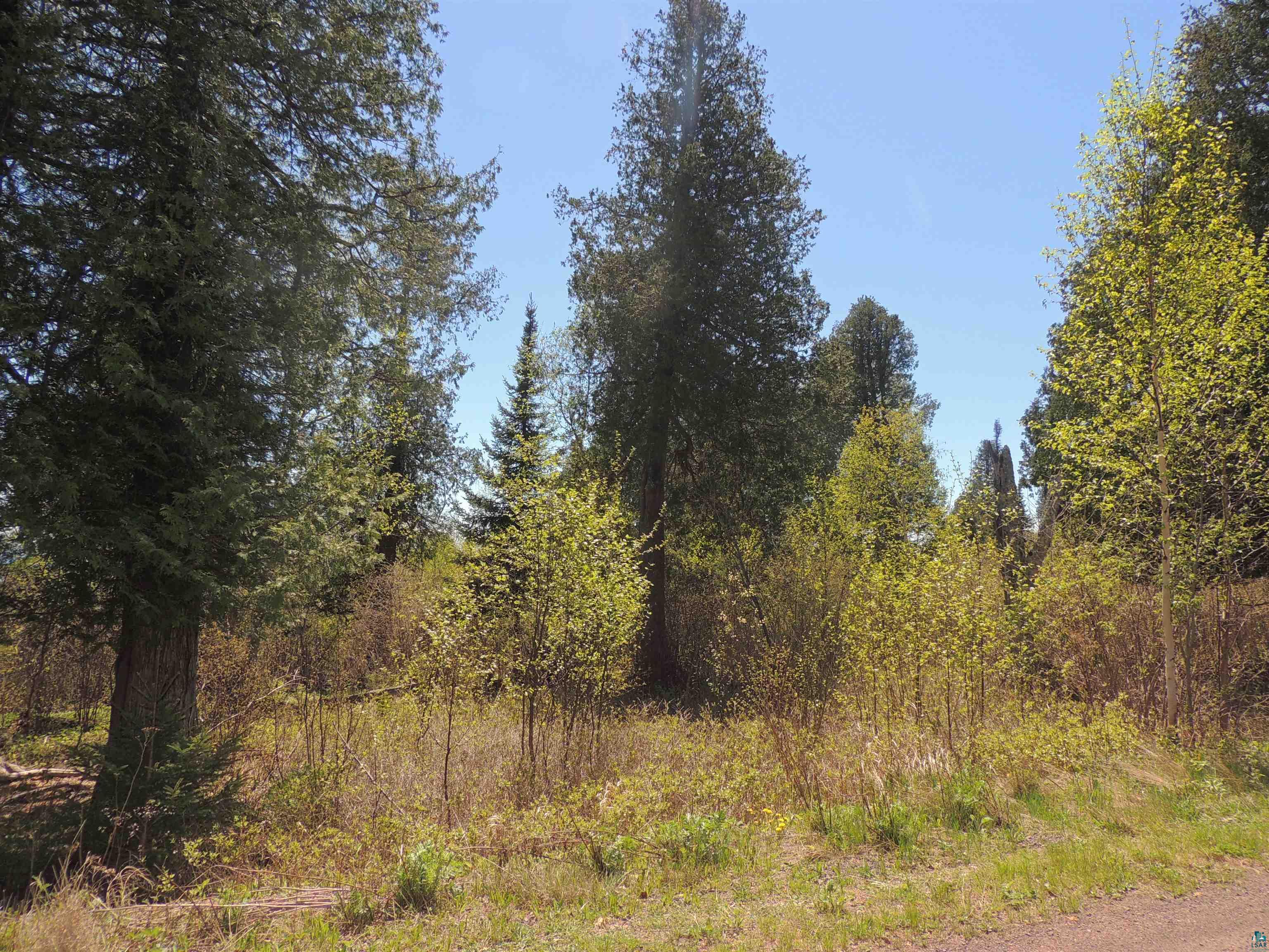 1X Mountain Ash Ln Lutsen MN 55612 6126303 image20