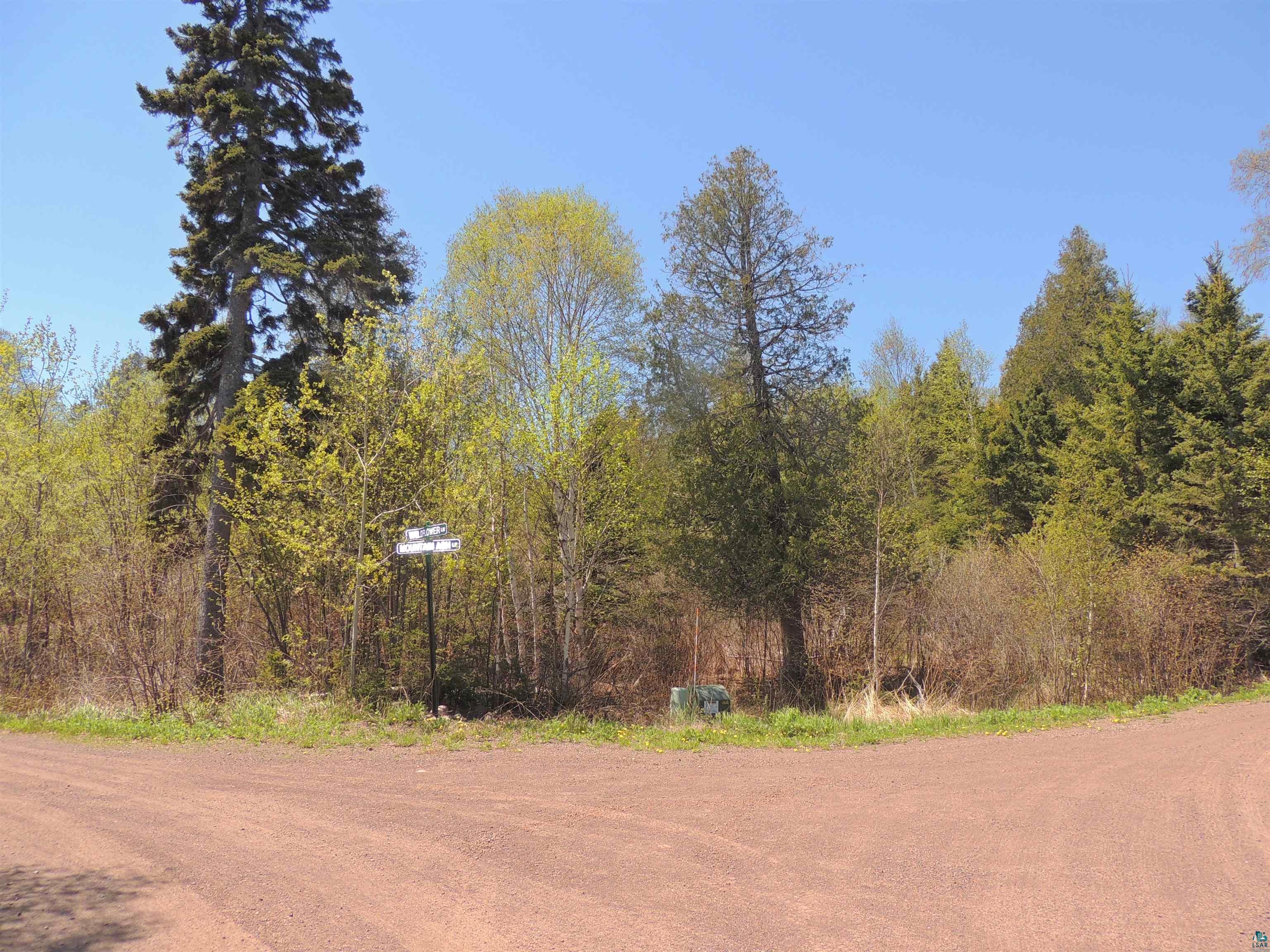 1X Mountain Ash Ln Lutsen MN 55612 6126303 image3
