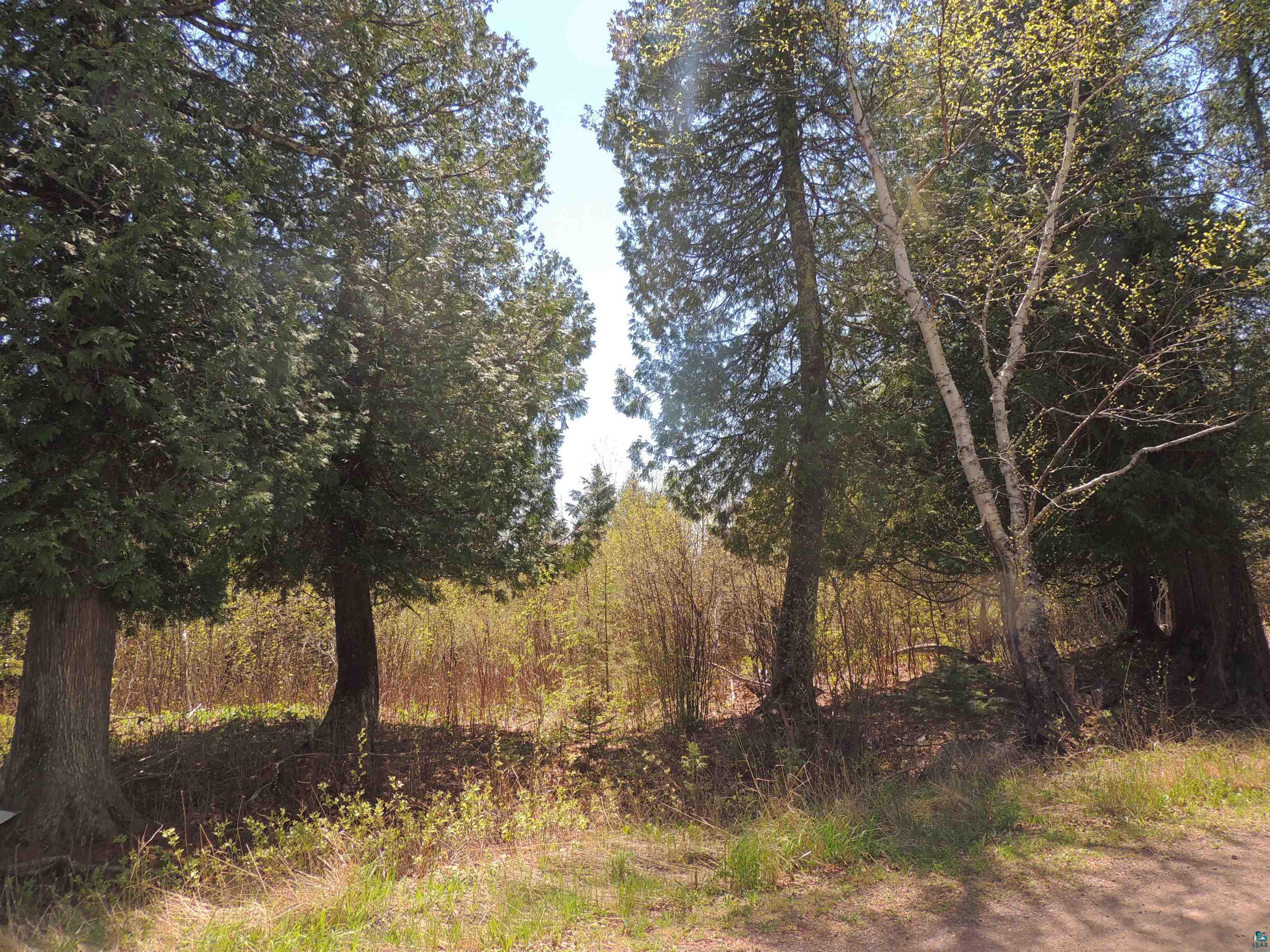 1X Mountain Ash Ln Lutsen MN 55612 6126303 image33