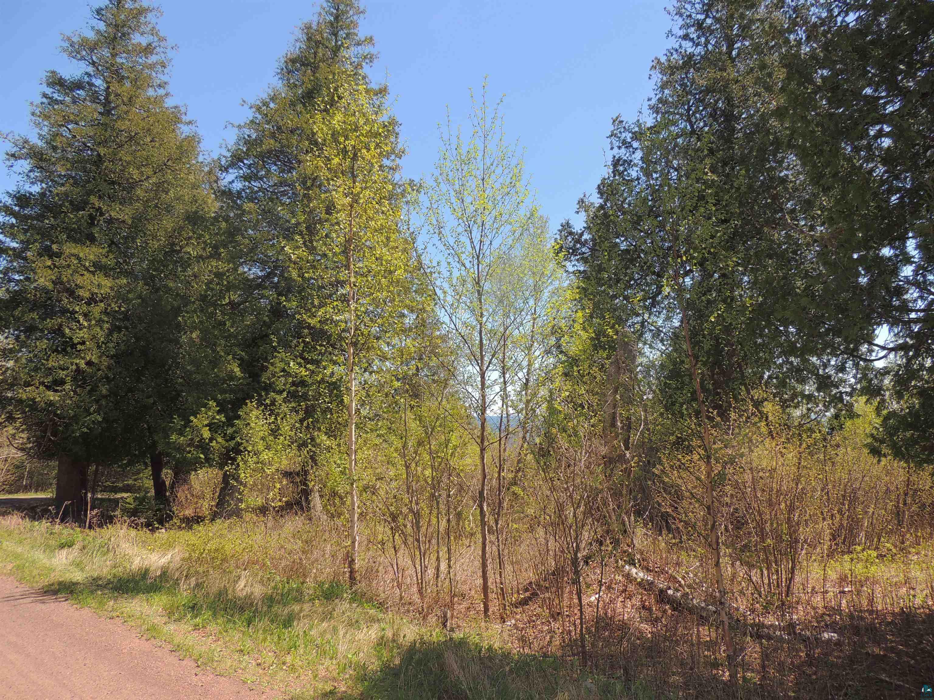 1X Mountain Ash Ln Lutsen MN 55612 6126303 image35