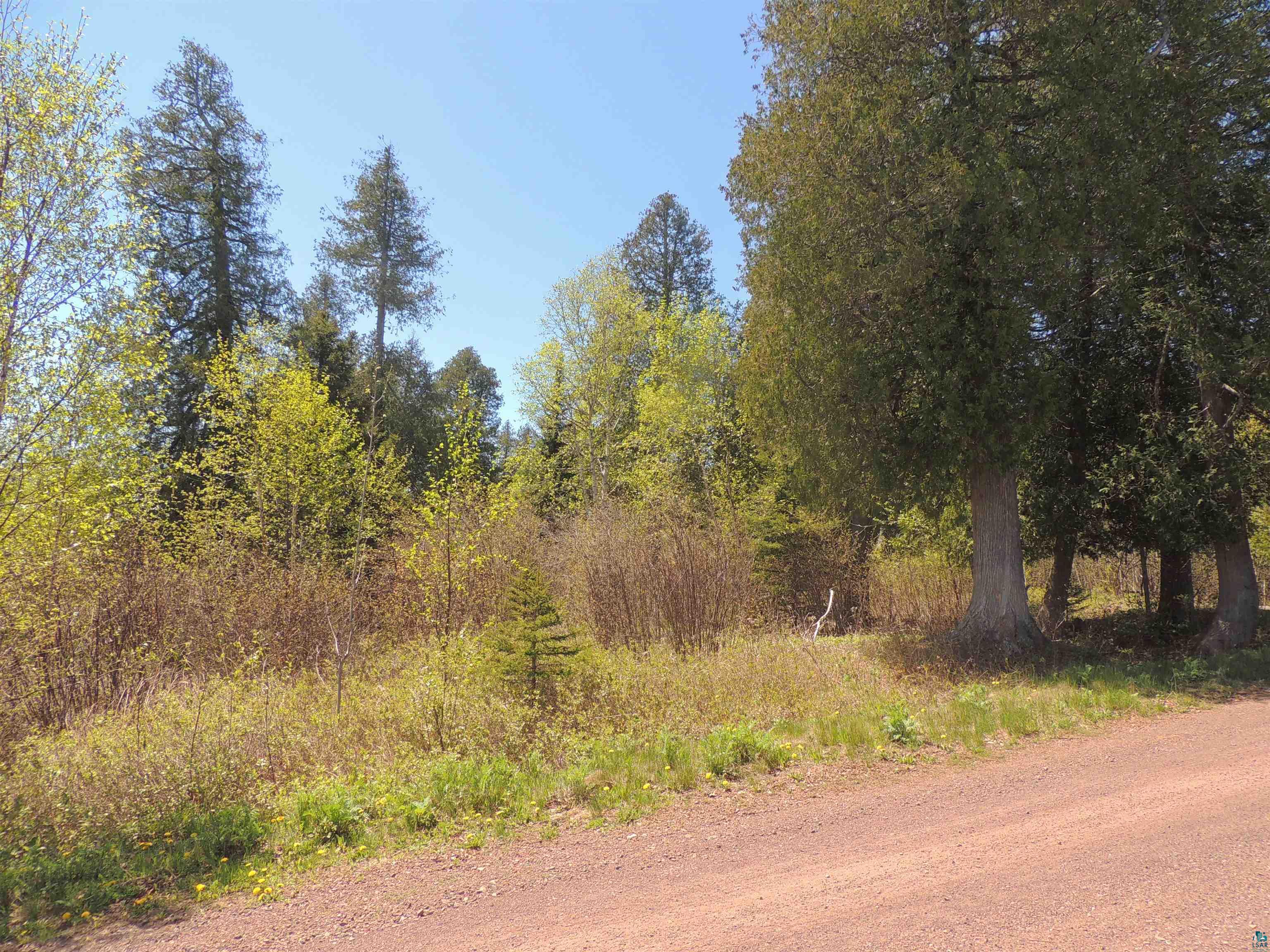 1X Mountain Ash Ln Lutsen MN 55612 6126303 image39