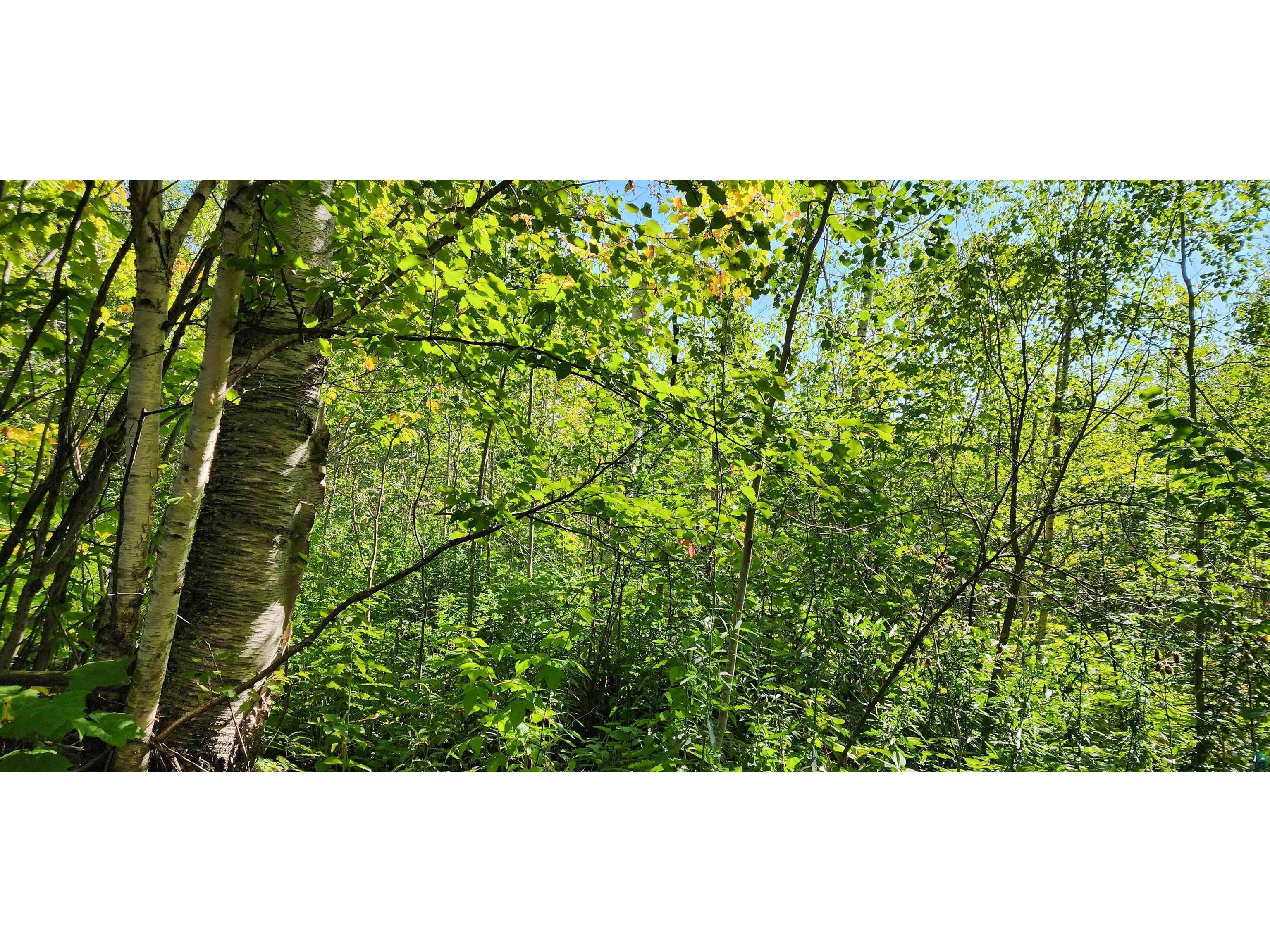 1X Overlook Tr Tofte MN 55615 6111587 image1