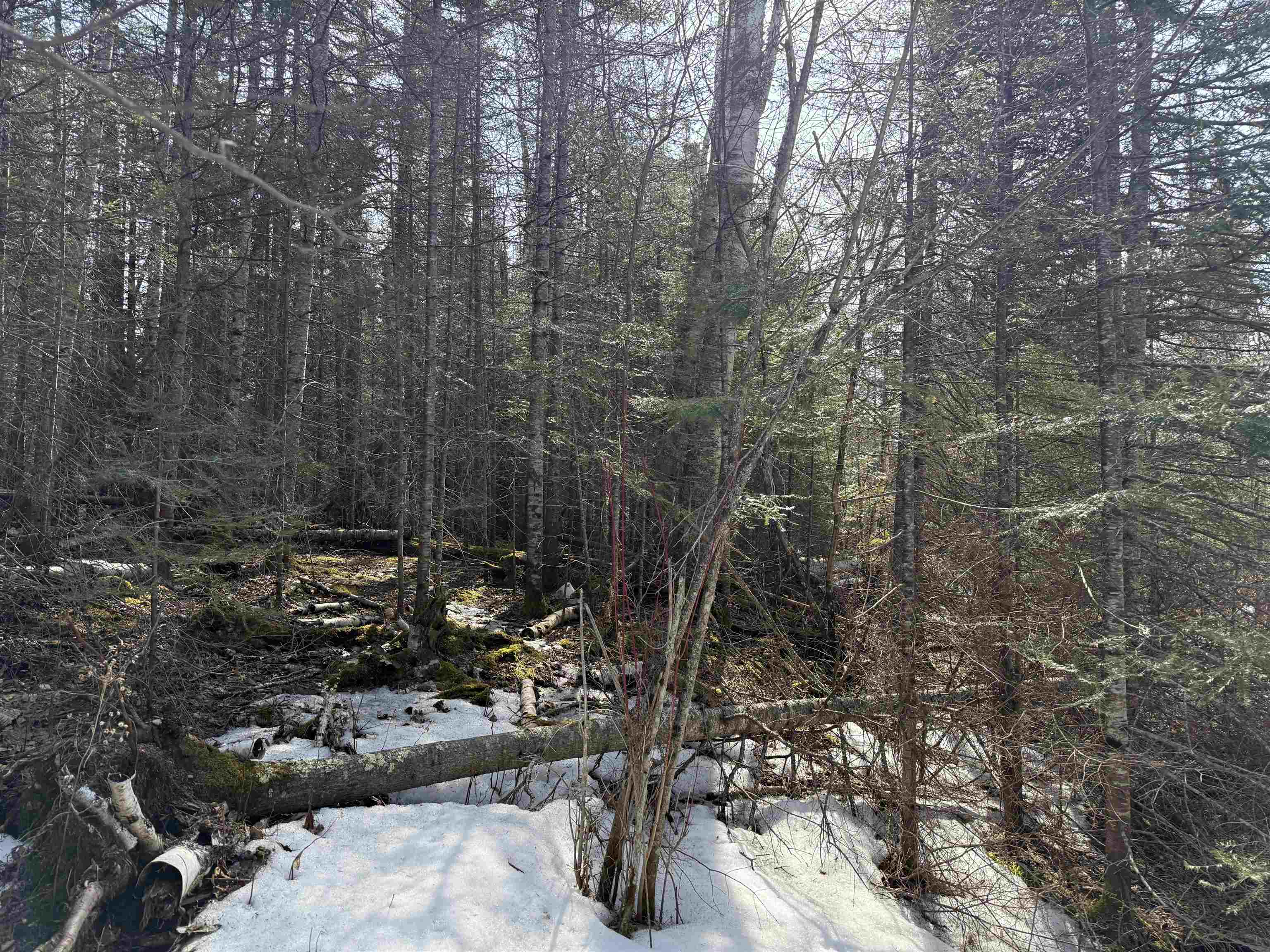 1XX W 13th Ave Grand Marais MN 55604 6118743 image11