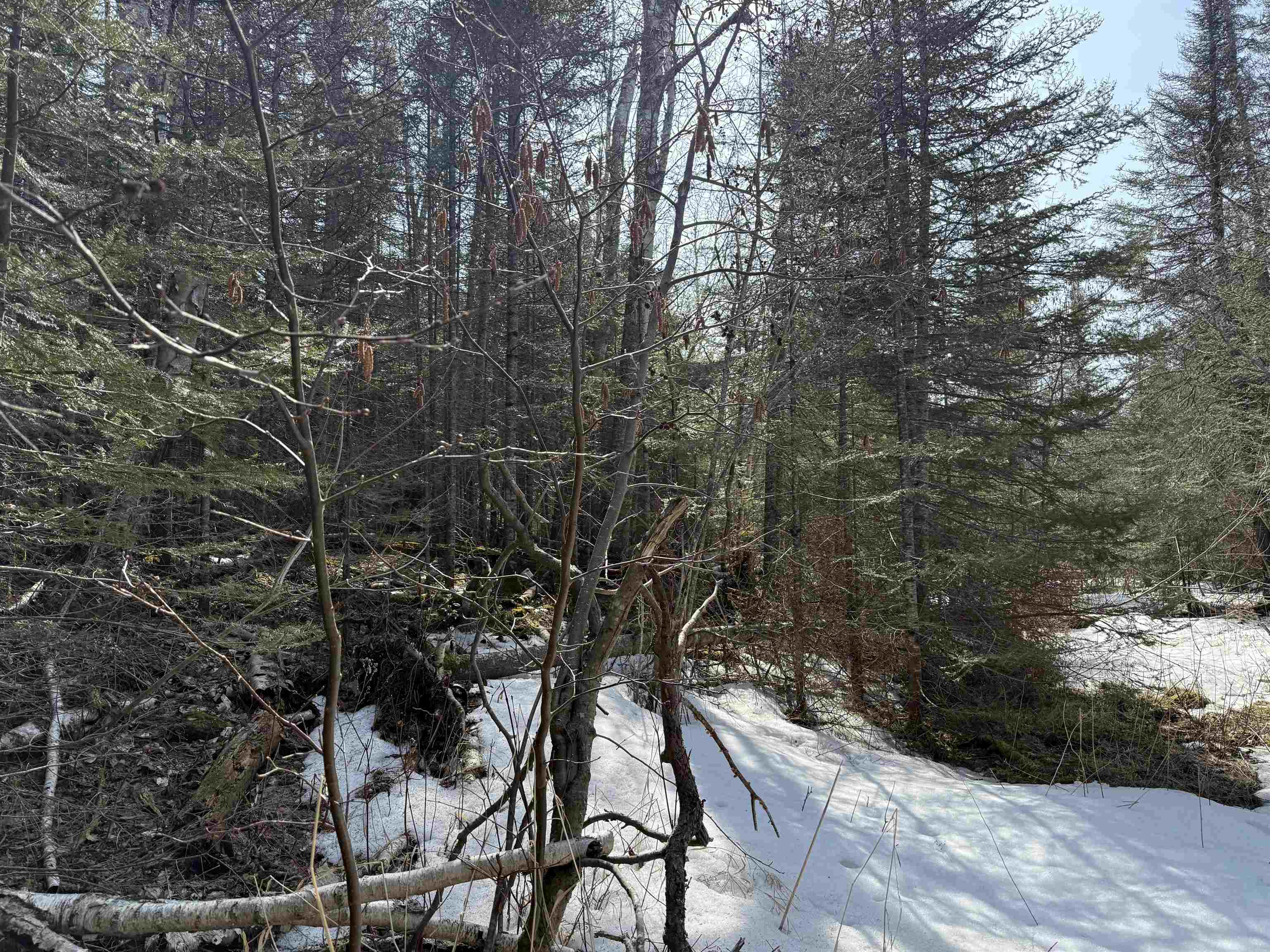 1XX W 13th Ave Grand Marais MN 55604 6118743 image12