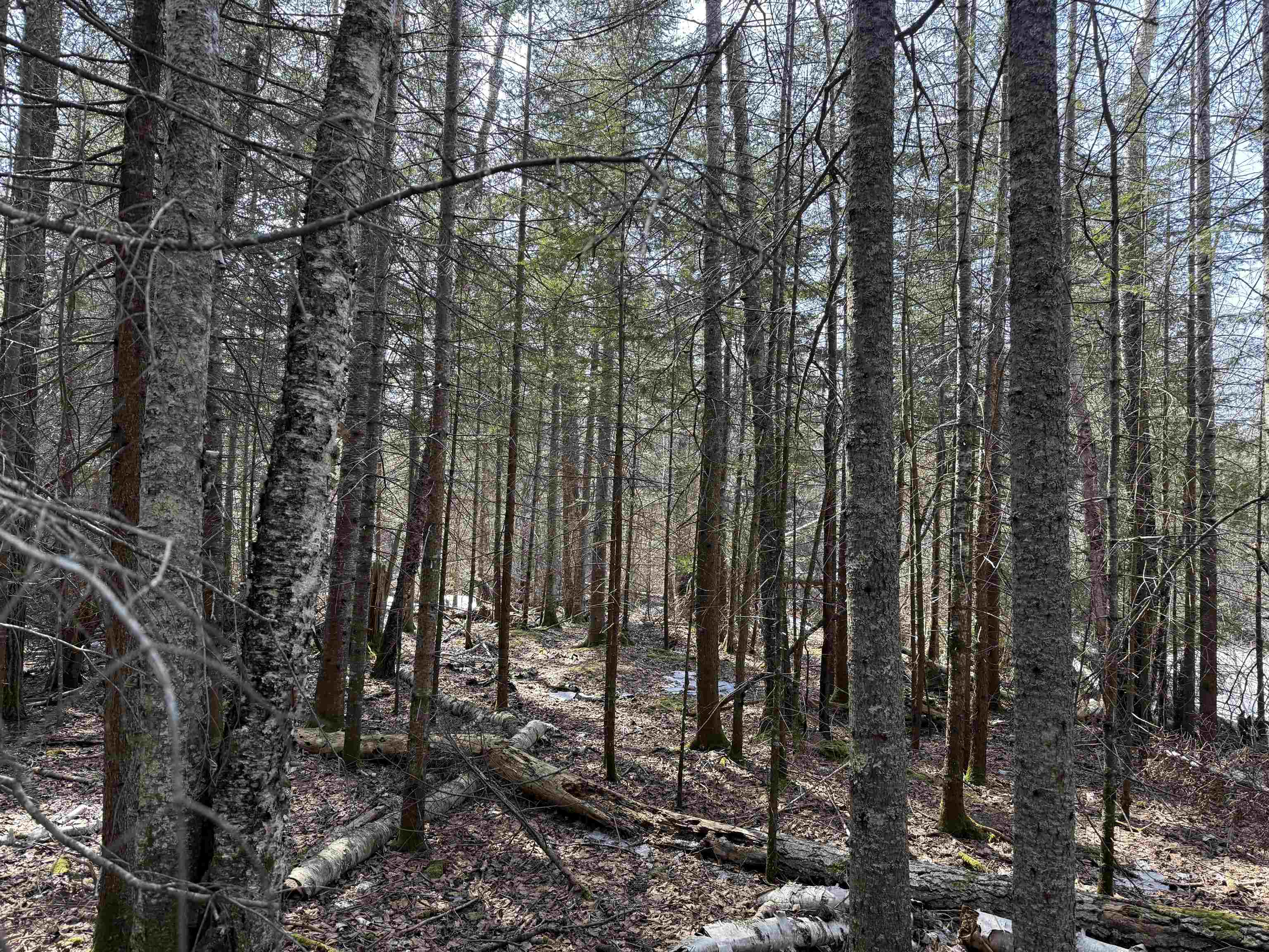 1XX W 13th Ave Grand Marais MN 55604 6118743 image3
