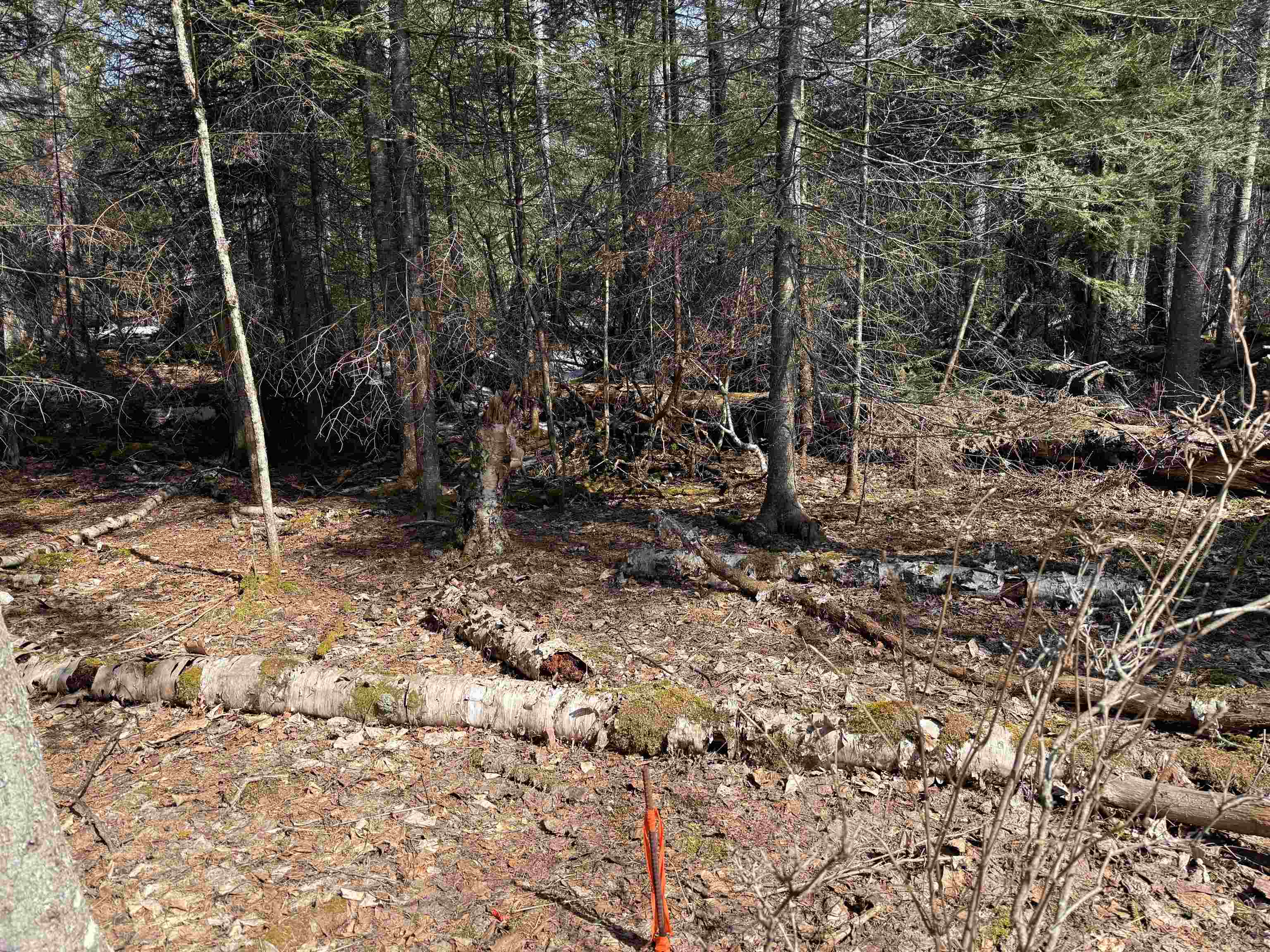 1XX W 13th Ave Grand Marais MN 55604 6118743 image6