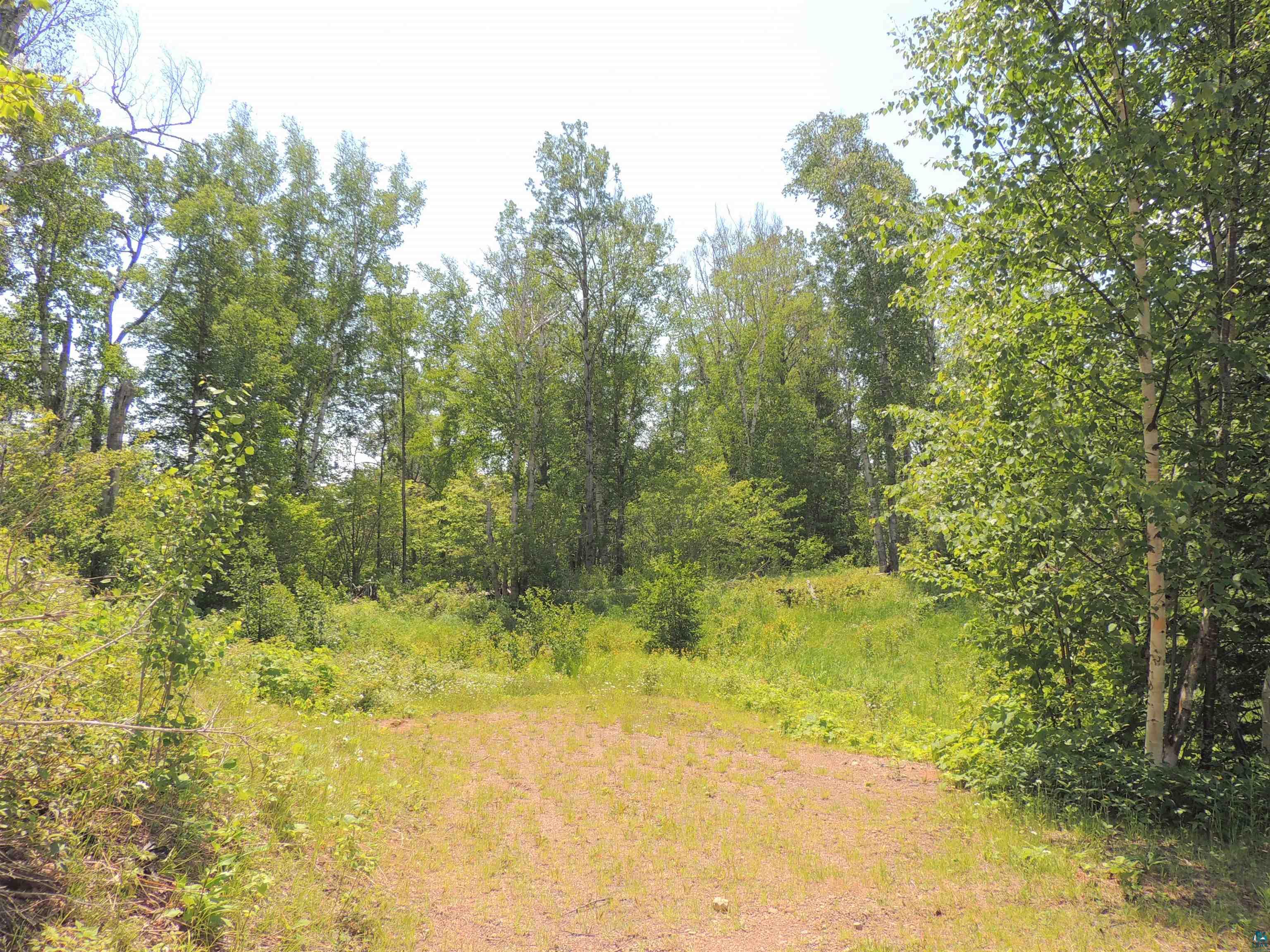 1XX Whippoorwill Ln Hovland MN 55606 6109109 image1