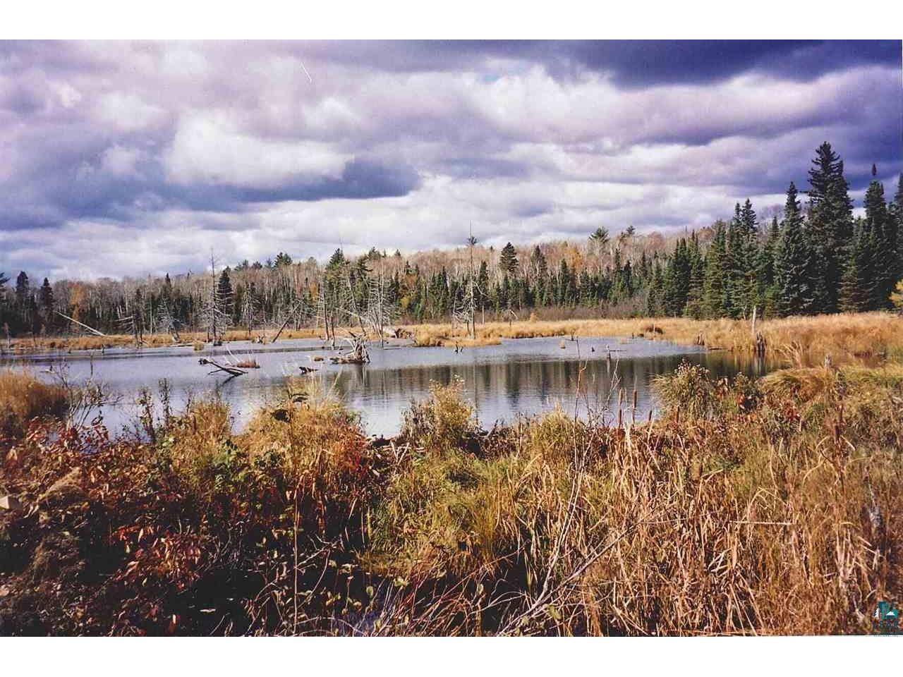 1XXX Camp 20 Rd Hovland MN 55606 - Mohns 6114539 image1