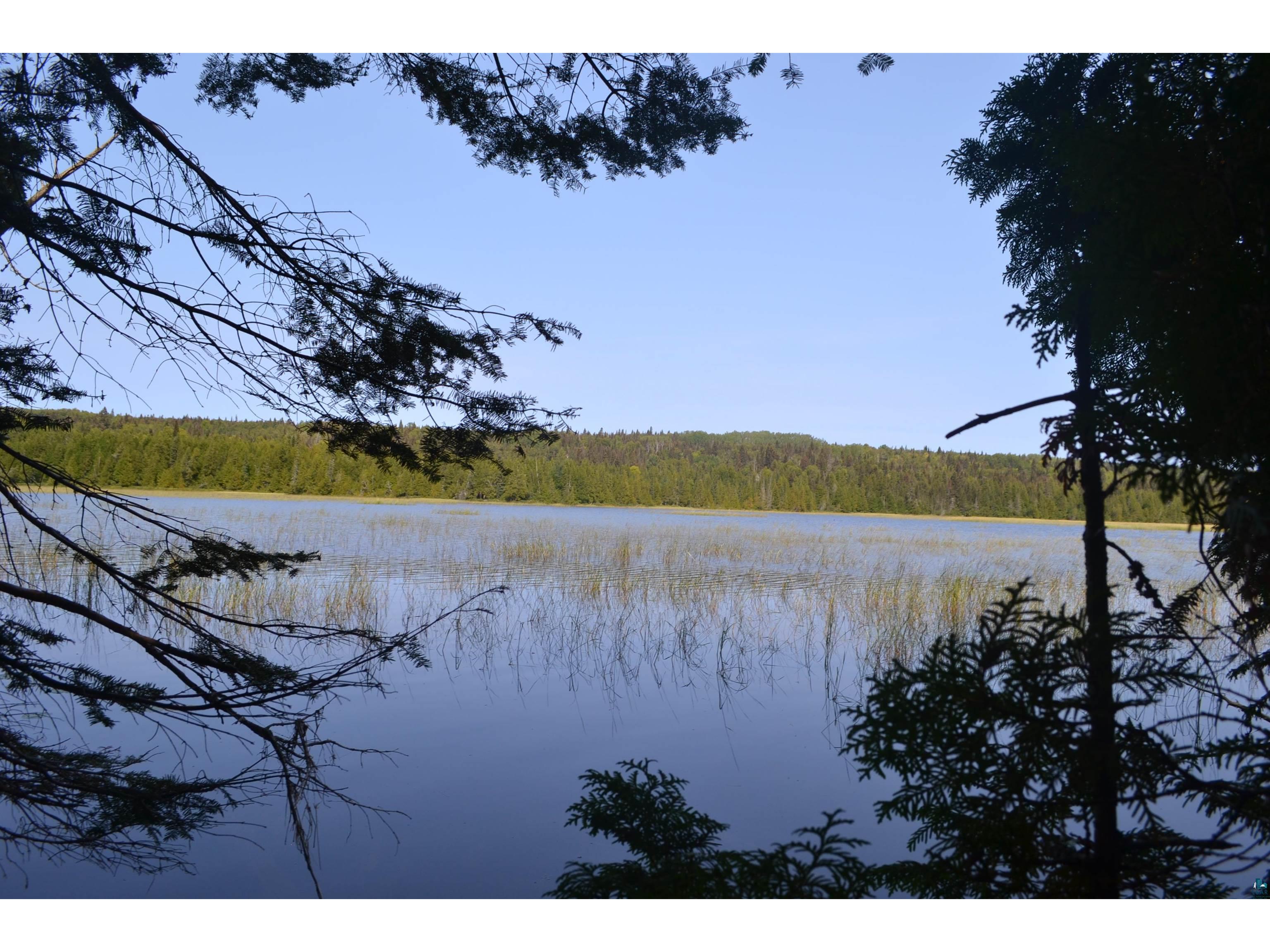 1x Ward Lake Rd Lutsen MN 55612 - Bigsby 6110674 image1