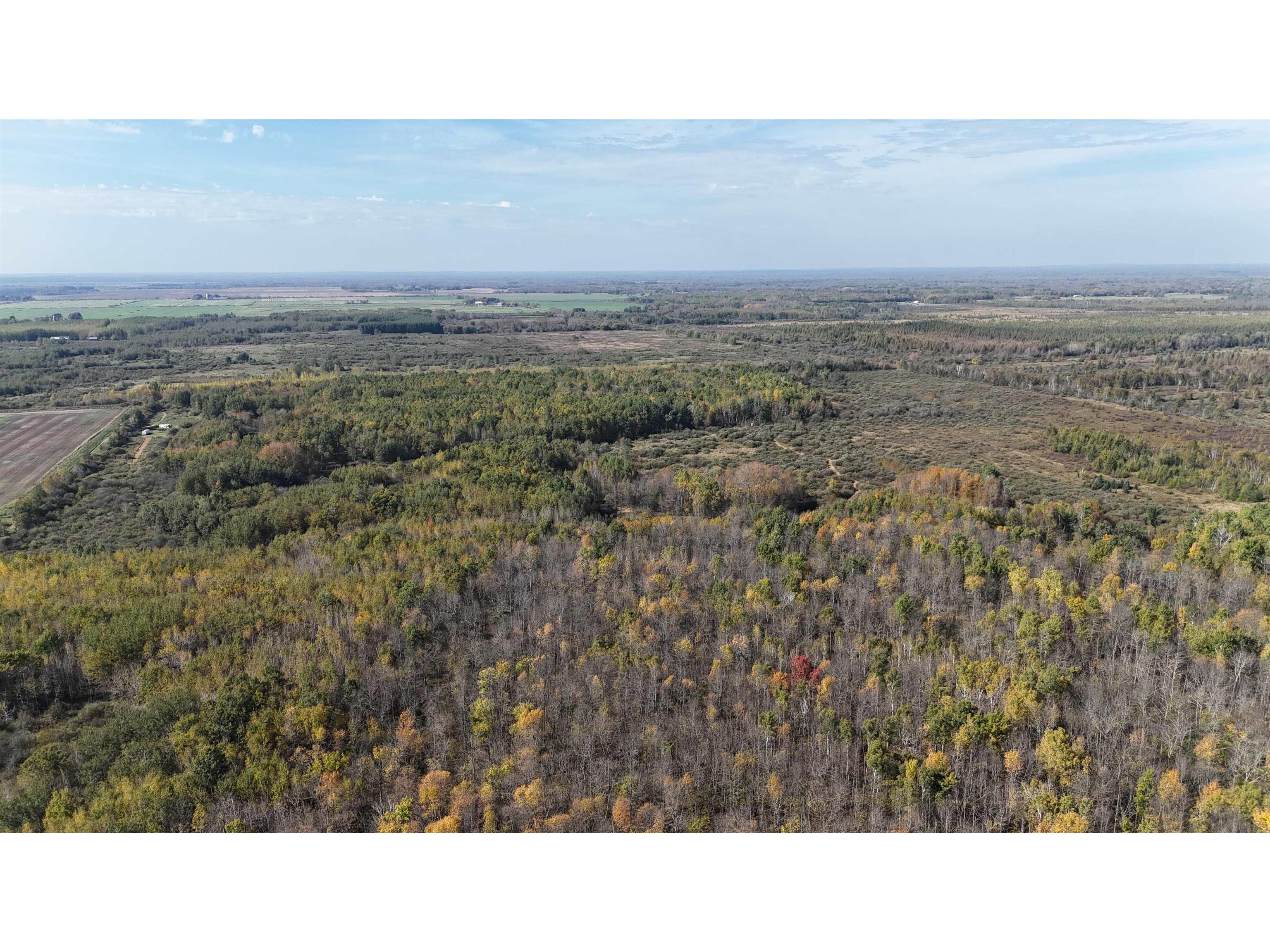 1xxx 460th Ln Palisade MN 56469 6122346 image11