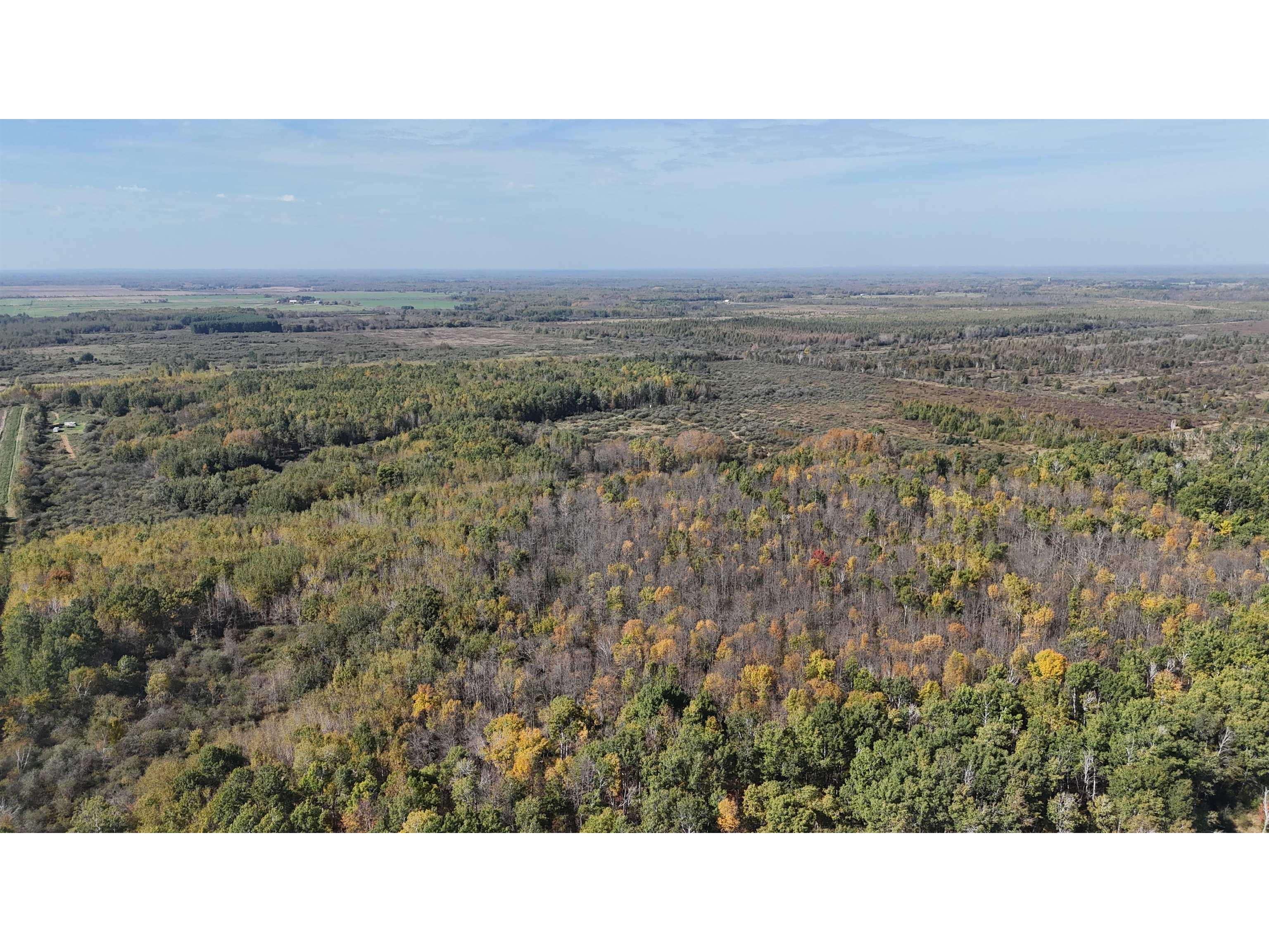 1xxx 460th Ln Palisade MN 56469 6122346 image13