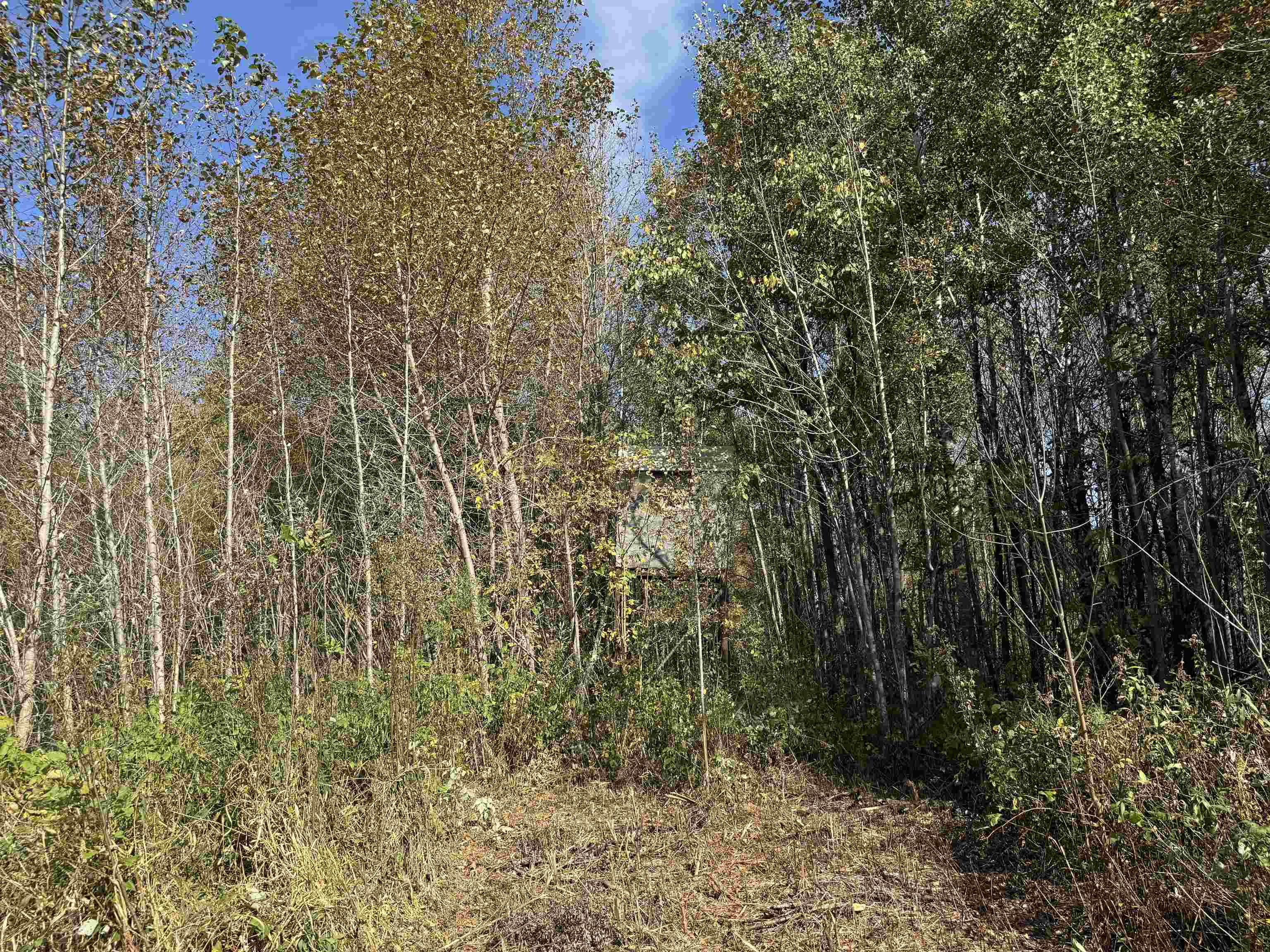 1xxx 460th Ln Palisade MN 56469 6122346 image14