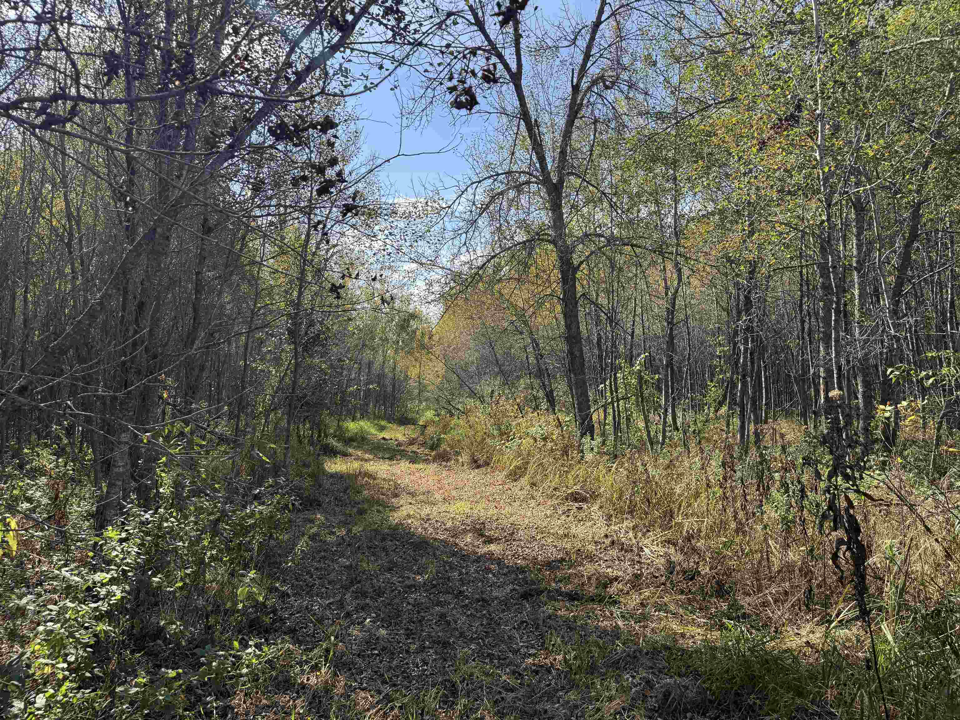 1xxx 460th Ln Palisade MN 56469 6122346 image15