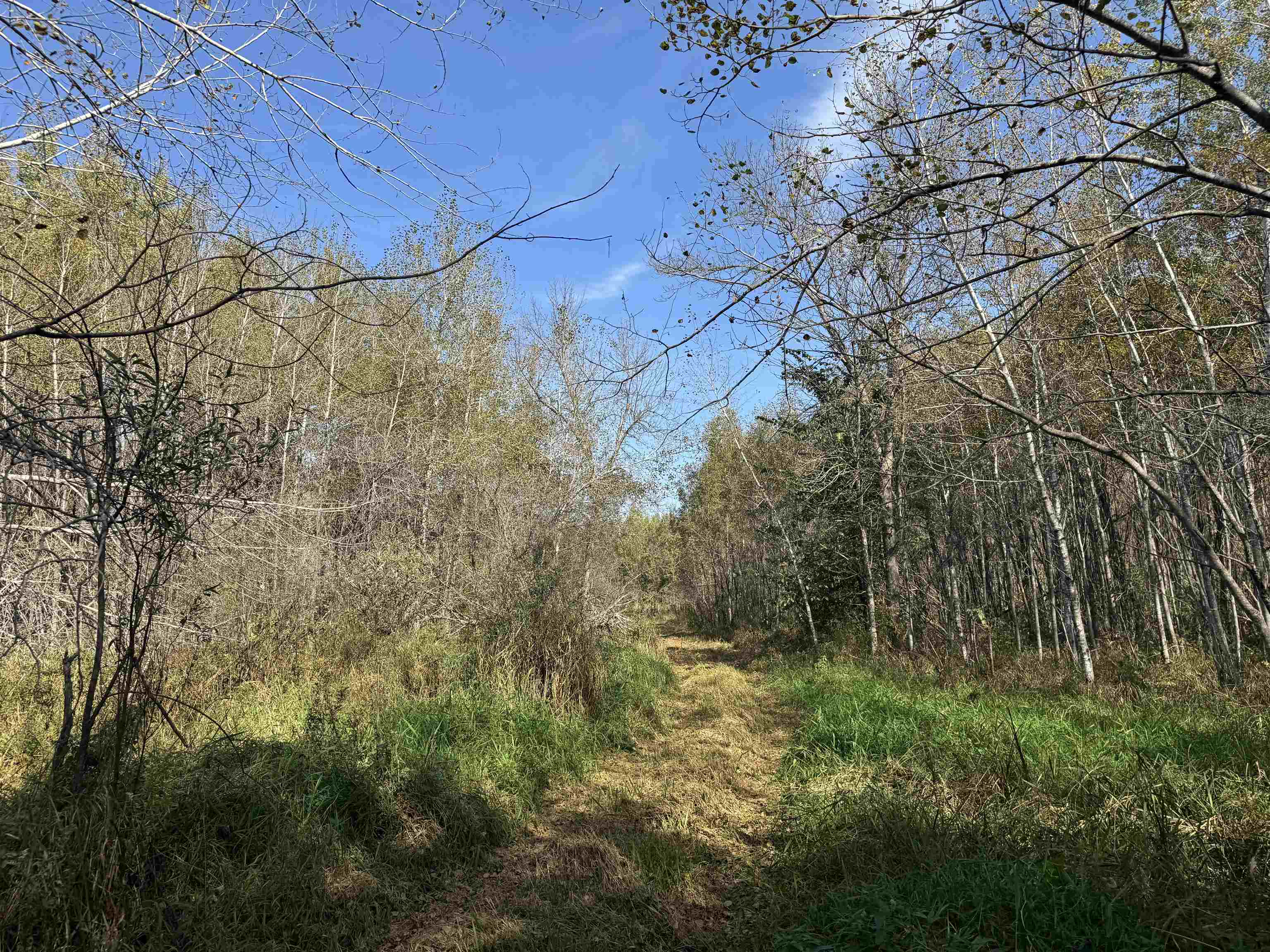 1xxx 460th Ln Palisade MN 56469 6122346 image16