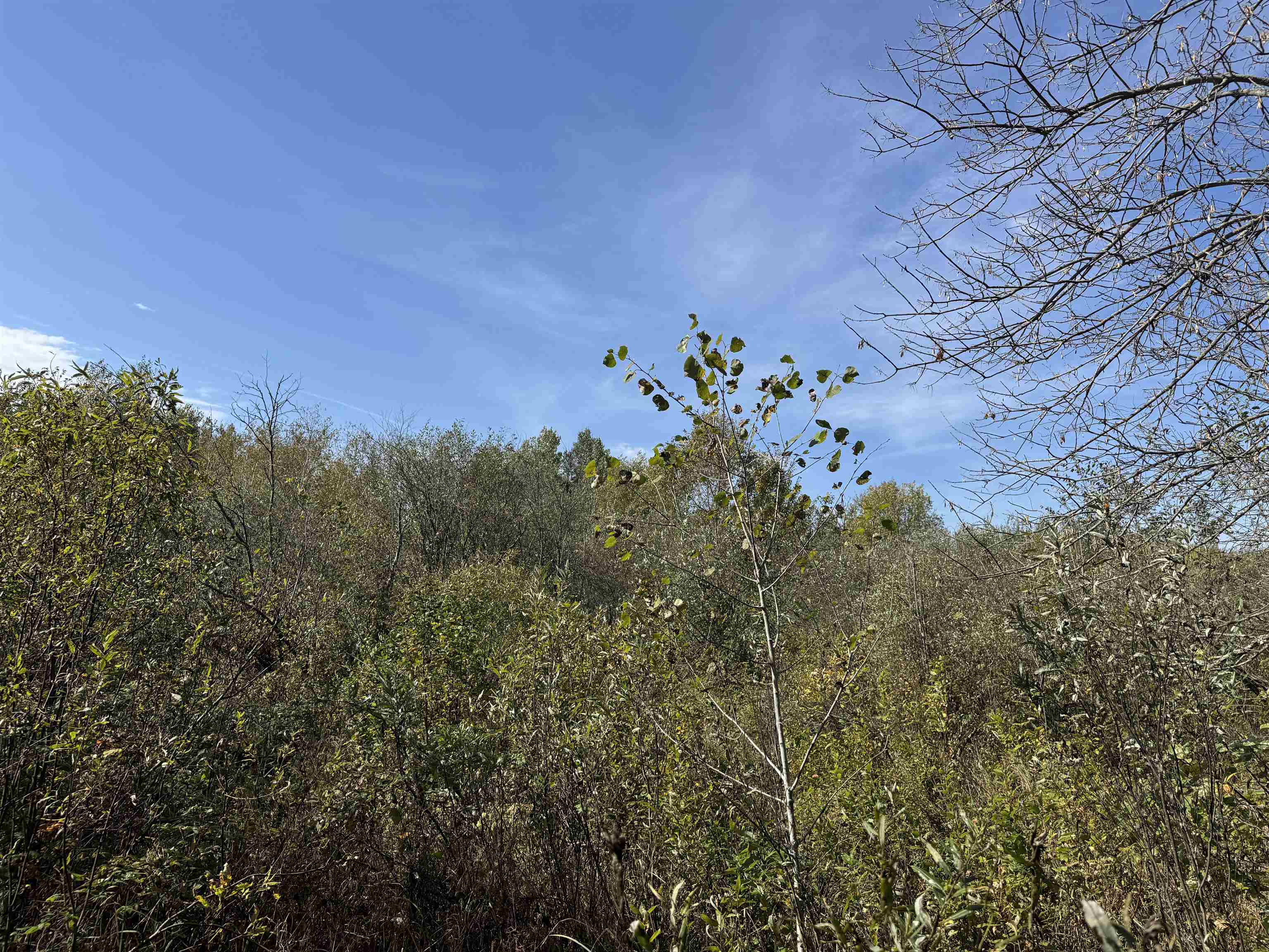 1xxx 460th Ln Palisade MN 56469 6122346 image17